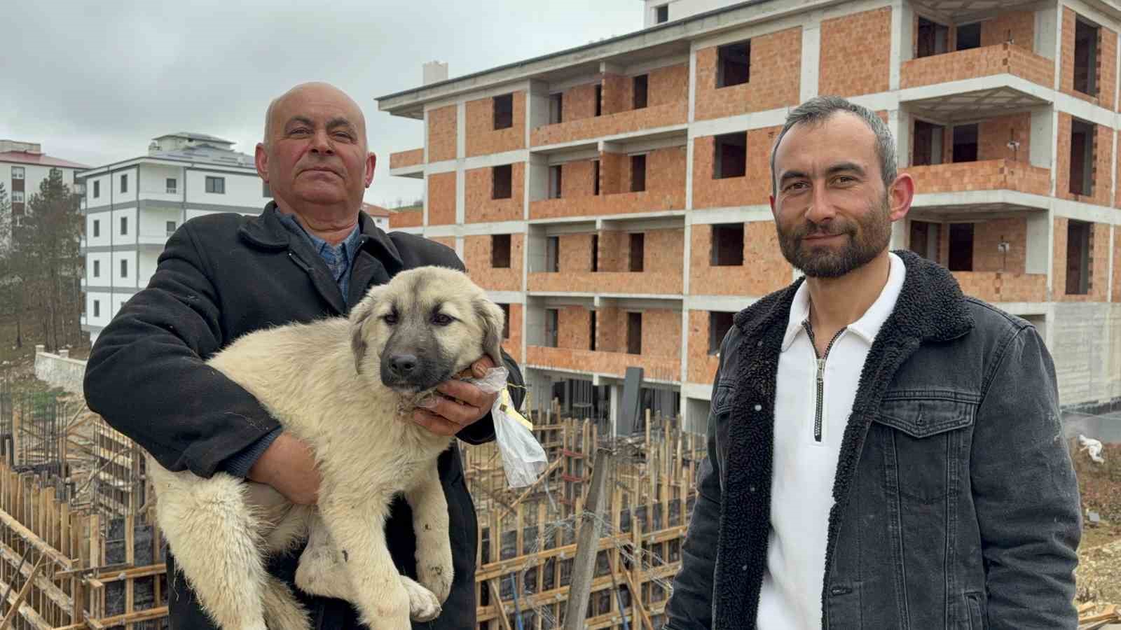 Baba oğul, çatıda ölümün eşiğindeki yavru köpeği kurtardı

