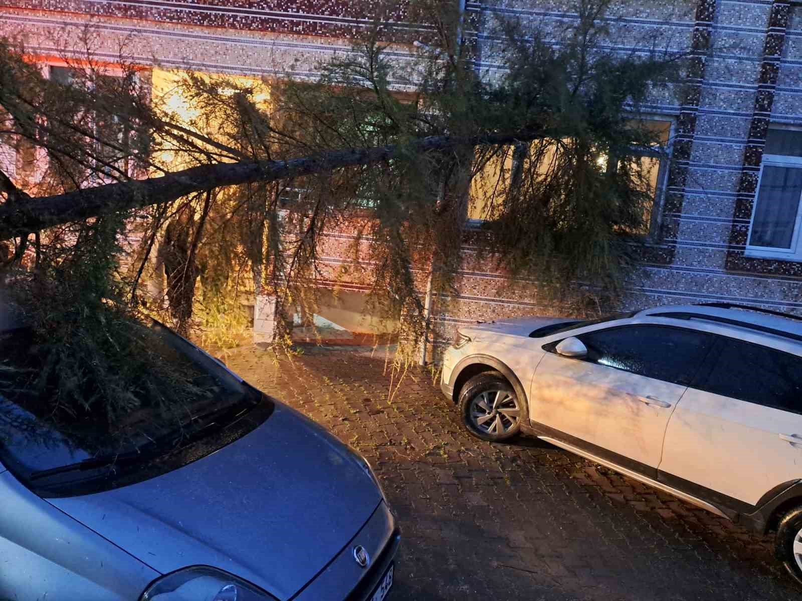 Babaeski’de kuvvetli rüzgarda otomobilin üzerine ağaç devrildi
