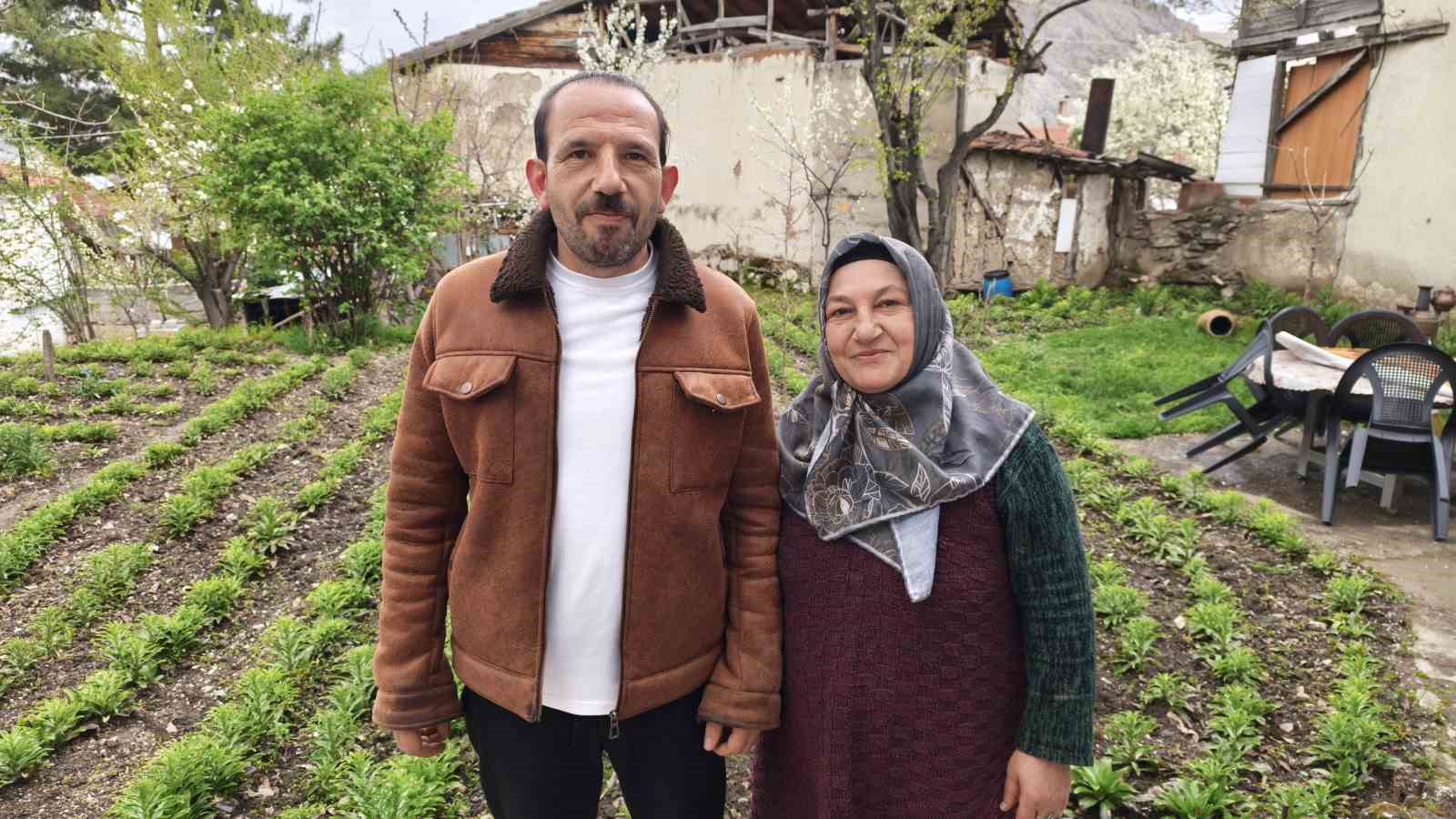 Babasından miras kalan akzambaklara gözü gibi bakıyor
