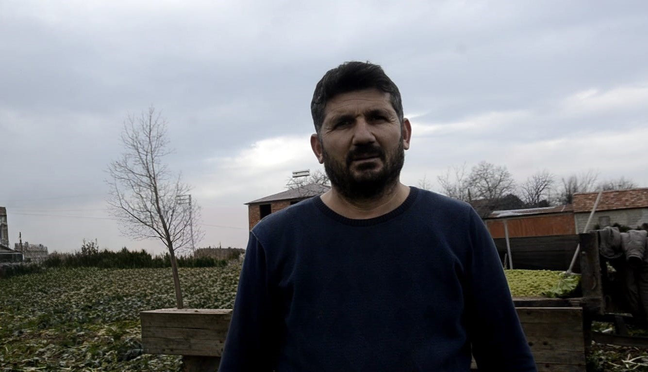 Bafra Ovası’nda pırasa hasadı: Bu yıl rekolte yüksek
