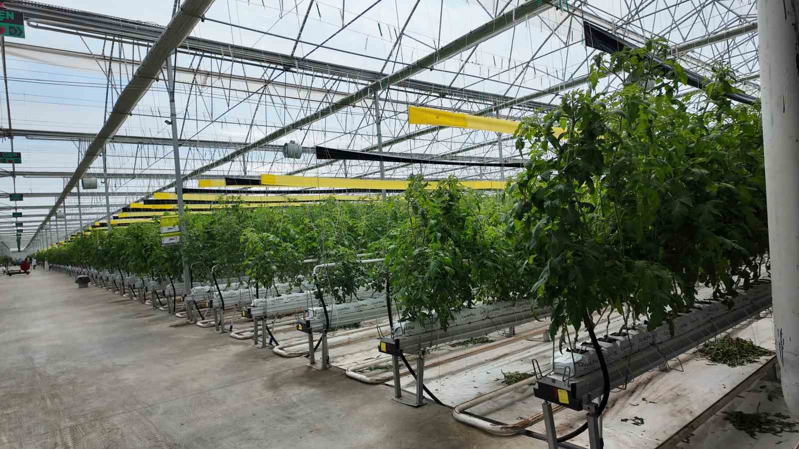 Bafra’da meslek sınıfta değil sahada öğreniliyor
