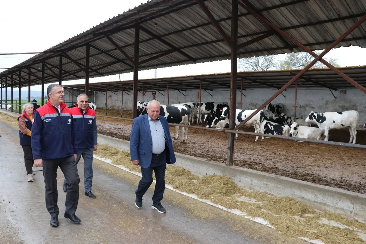 Bafra’da organik hayvancılığa yerinde inceleme
