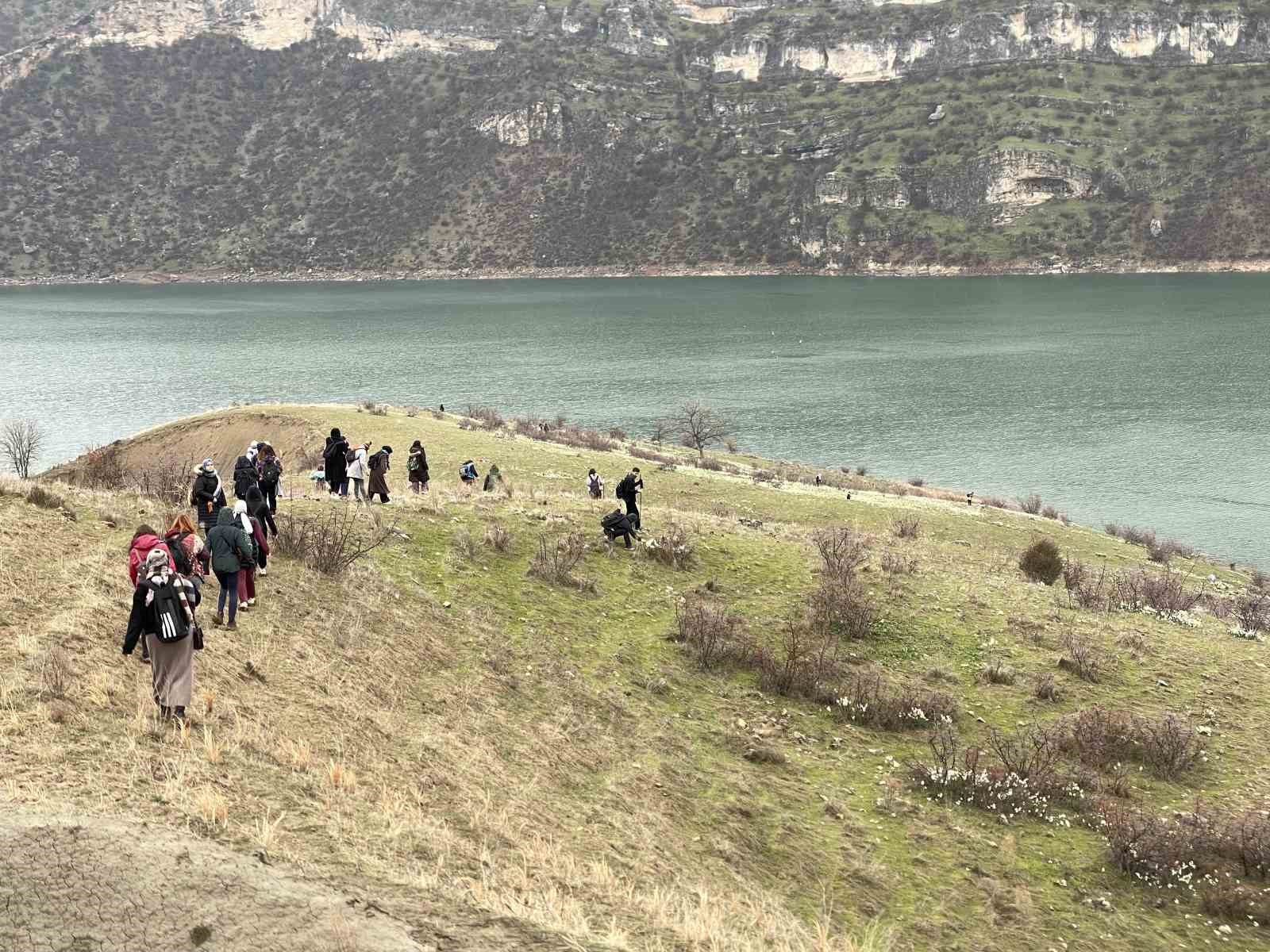 Bahar çiçeği nergisler doğaseverlerin ilgi odağı oldu
