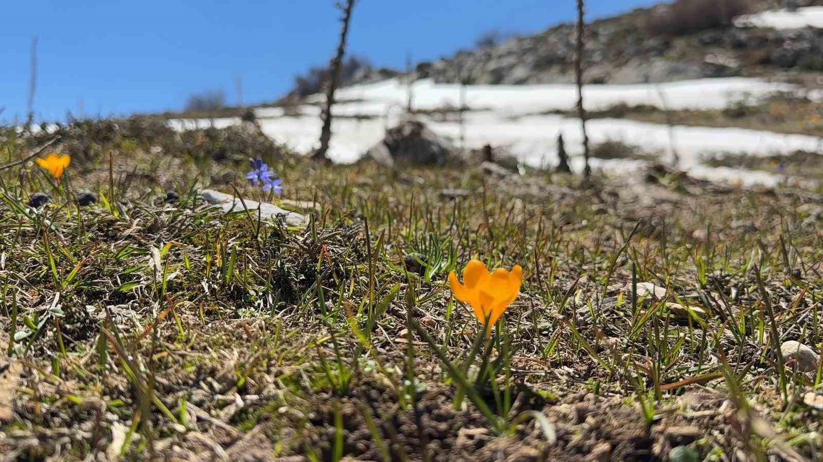 Bahar ve kış mevsimi aynı anda görüntülendi, ortaya eşsiz manzara çıktı
