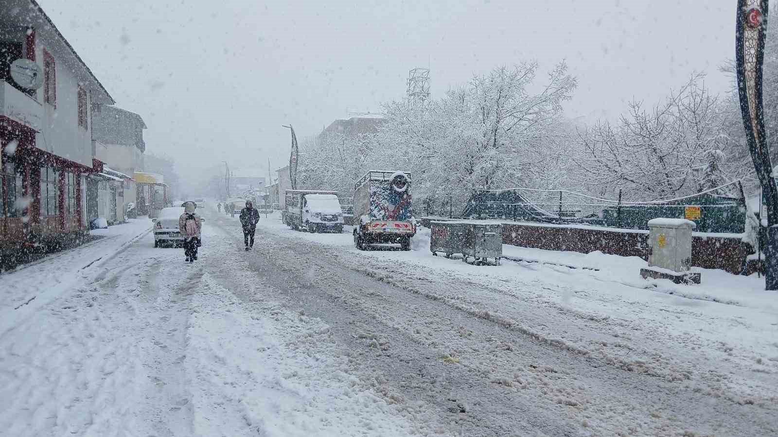 Baharı bekleyen Karlıova karlı bir güne uyandı
