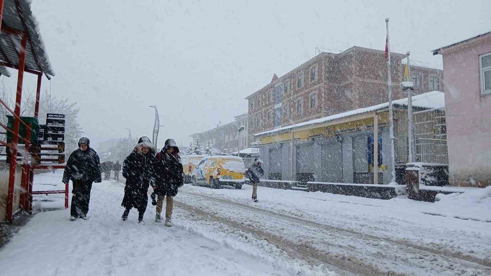 Baharı bekleyen Karlıova karlı bir güne uyandı

