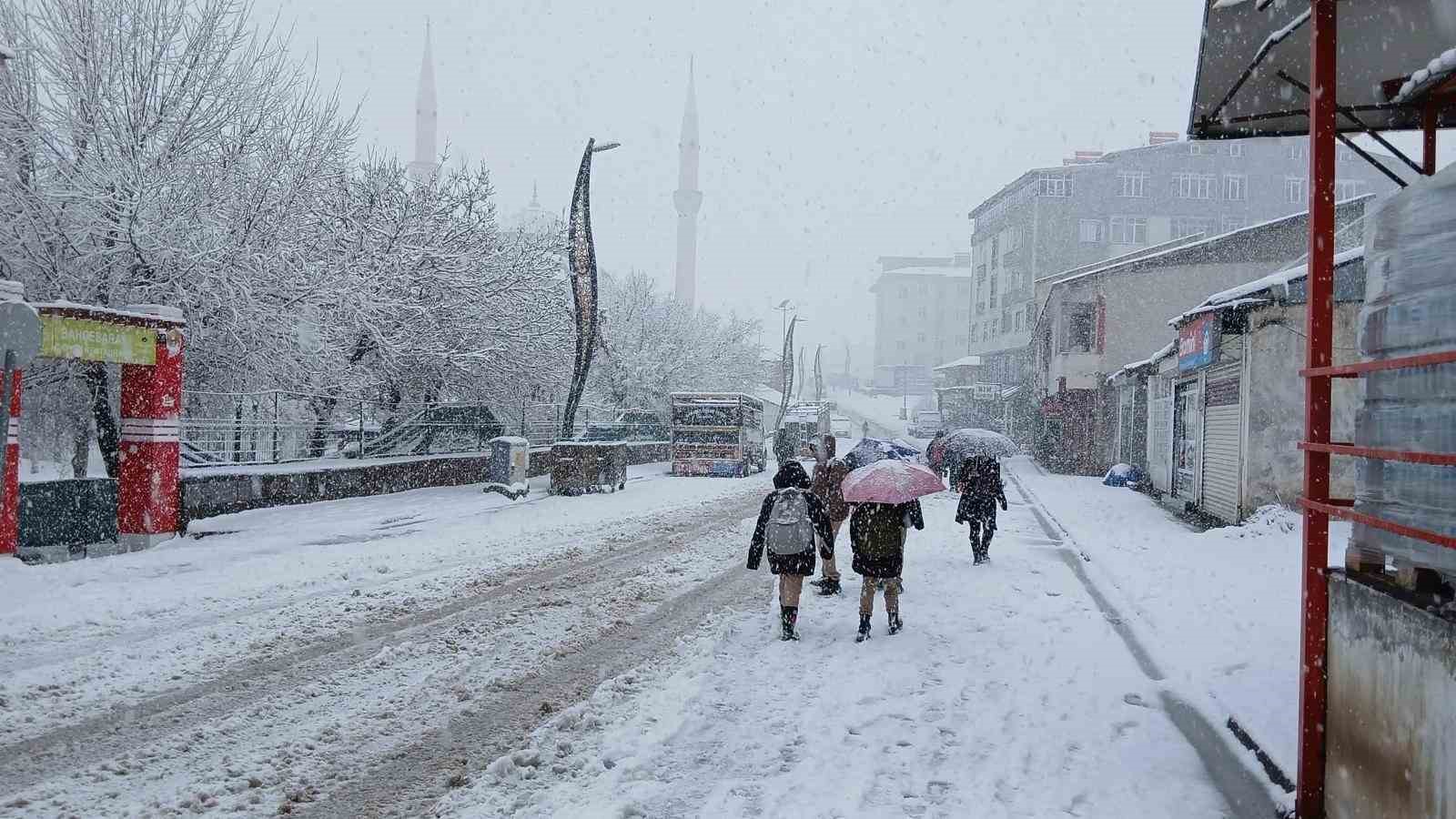 Baharı bekleyen Karlıova karlı bir güne uyandı
