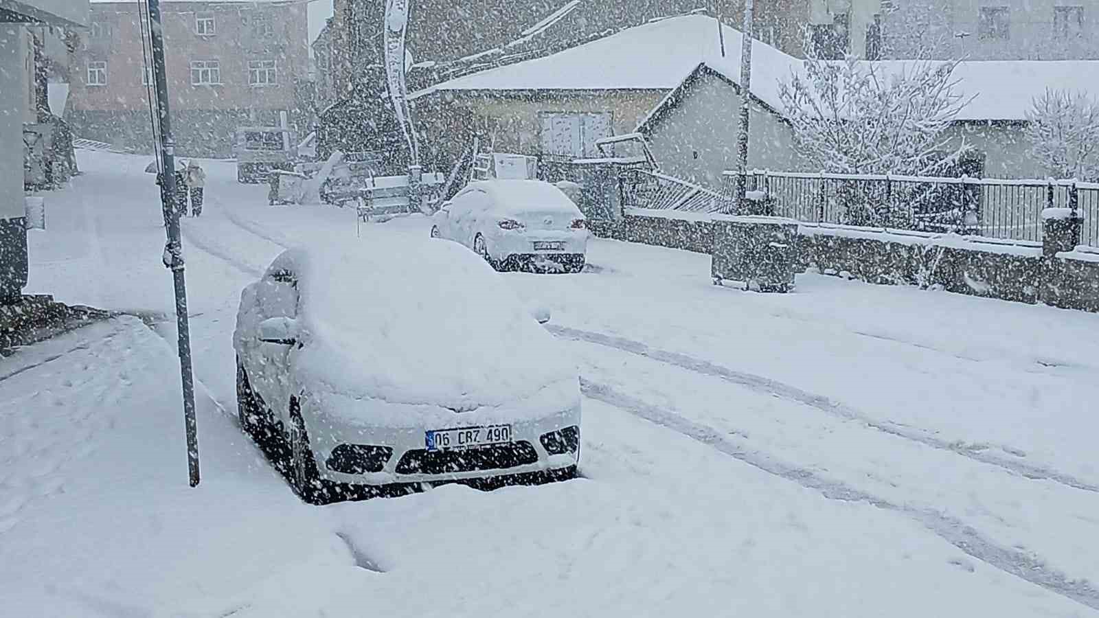 Baharı bekleyen Karlıova karlı bir güne uyandı

