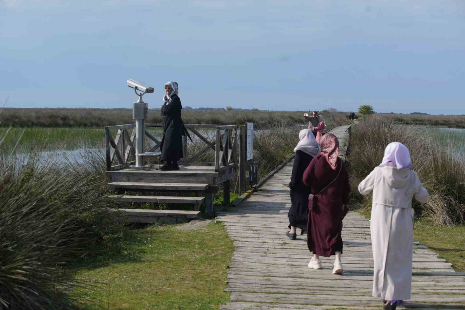 Baharın güzelliği deltada: Su papatyaları ve mandalarıyla ziyaretçilerin ilgi odağı
