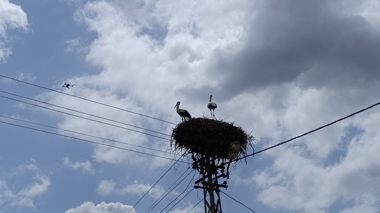 Baharın habercisi leylek, yuvasına bu yıl da eşiyle birlikte geldi
