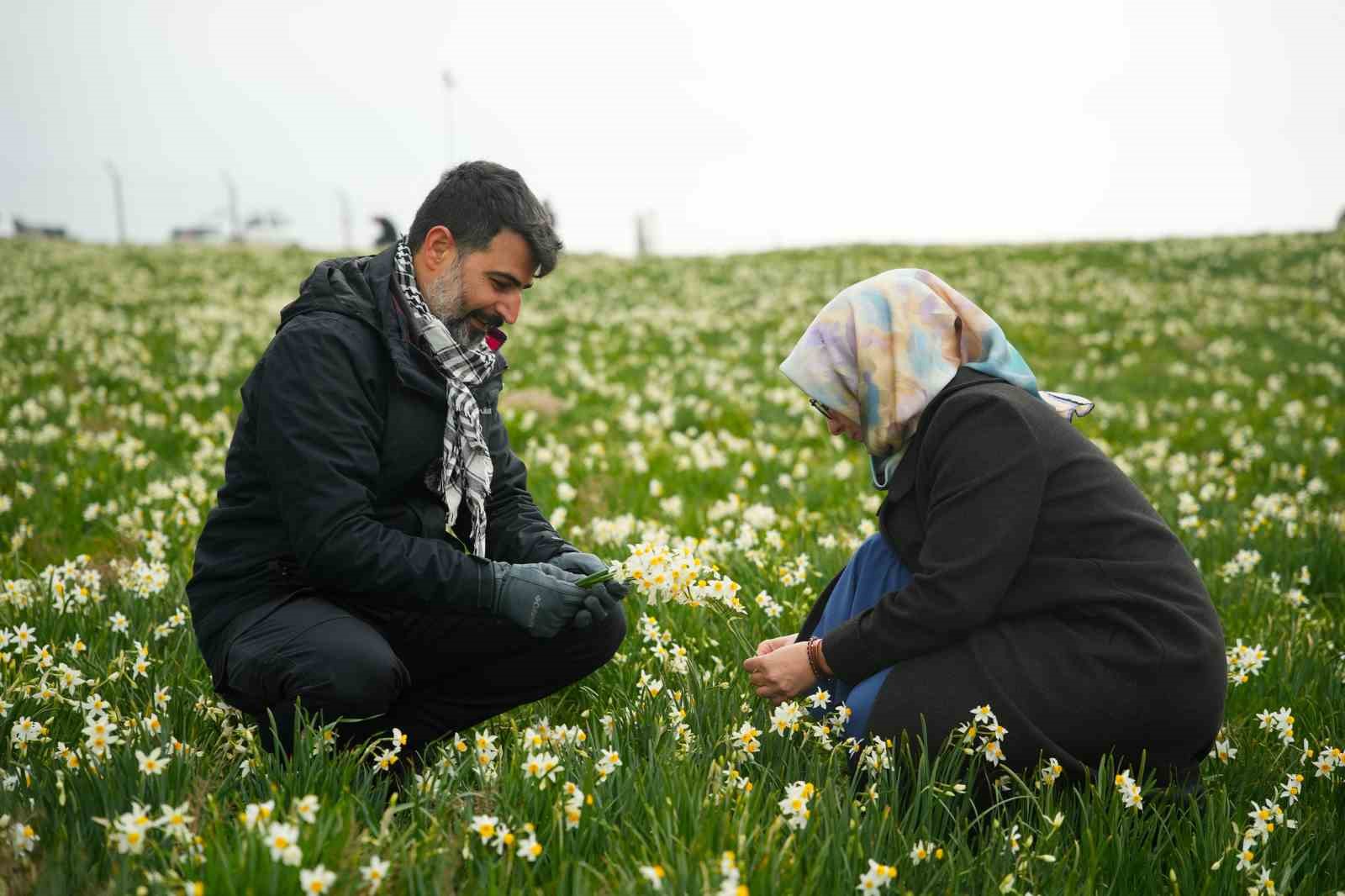 Baharın habercisi nergisler ziyaretçilerin ilgi odağı oluyor
