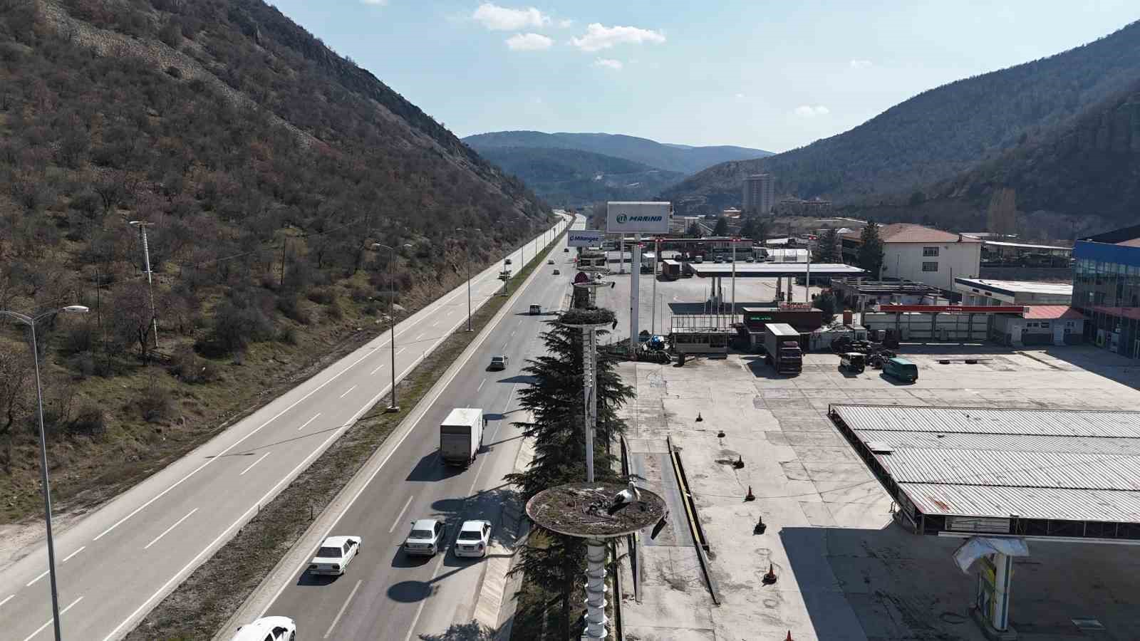 Baharın habercisi olan leylekler, Ankara’ya ulaştı
