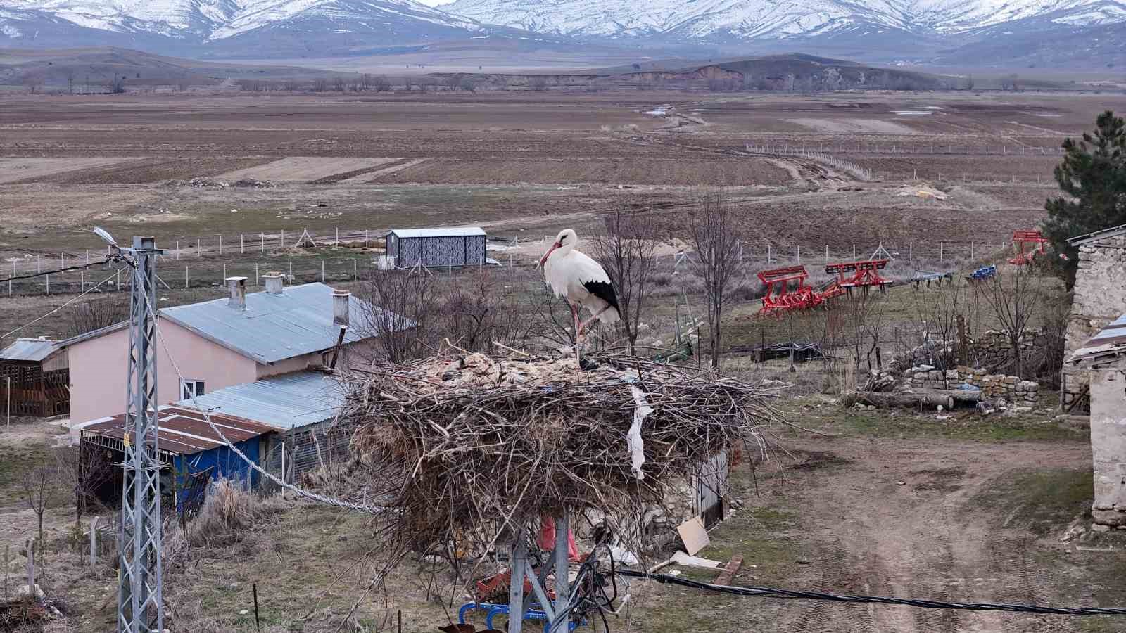 Baharın müjdecileri, asırlardır mesken tuttukları köye döndü
