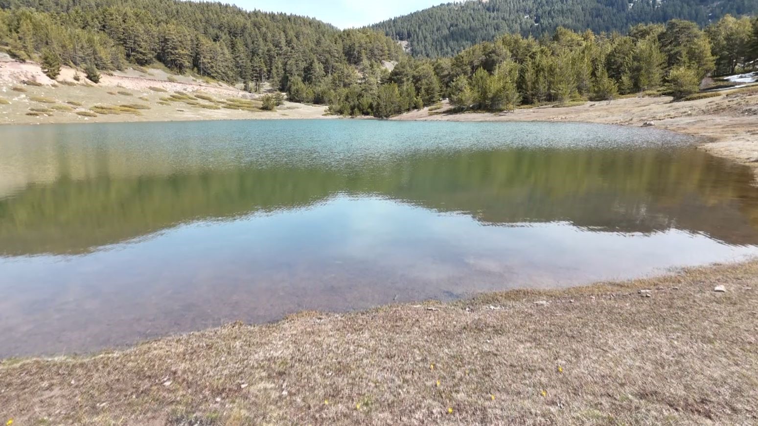 Baharın müjdecisi ‘çiğdemler’ çiçek açtı
