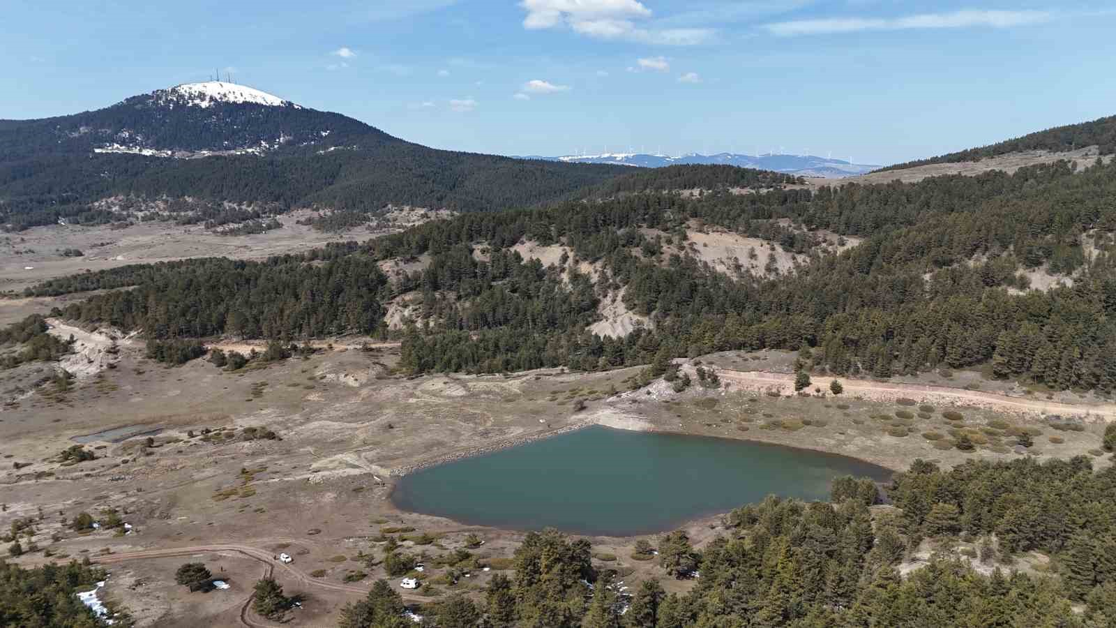 Baharın müjdecisi ‘çiğdemler’ çiçek açtı
