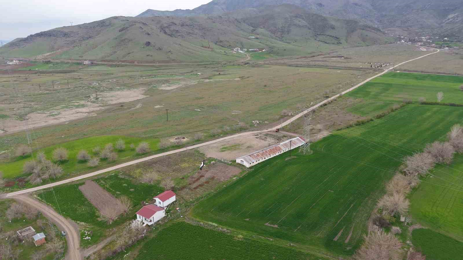 Baharın müjdecisi leylekler Elazığ’ı renklendiriyor
