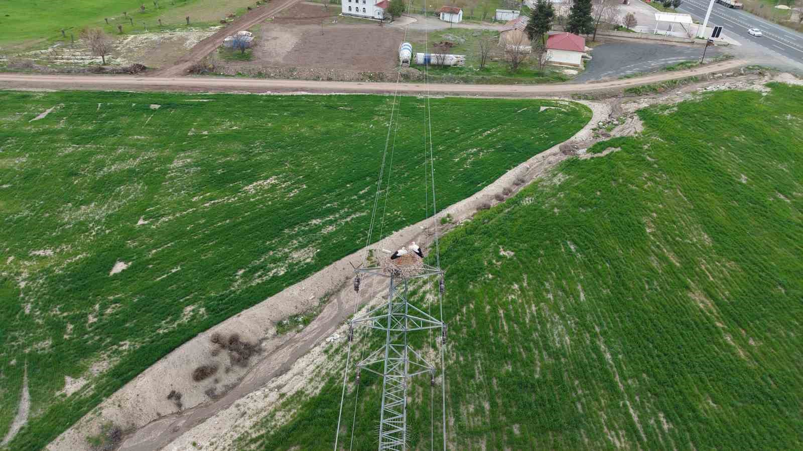 Baharın müjdecisi leylekler Elazığ’ı renklendiriyor

