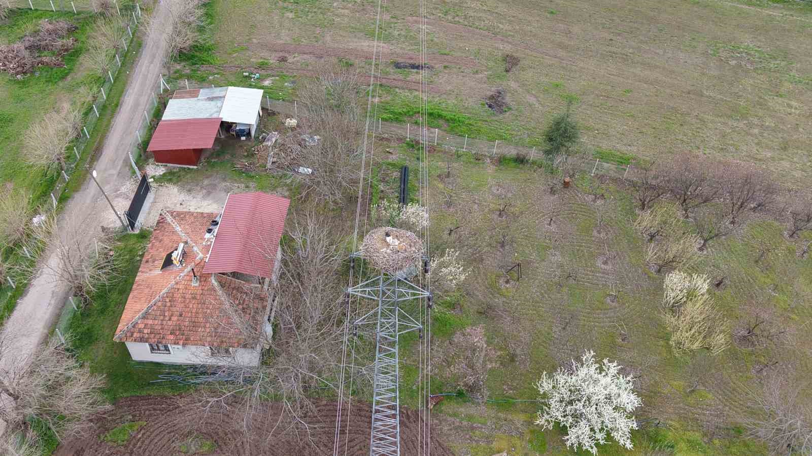 Baharın müjdecisi leylekler Elazığ’ı renklendiriyor
