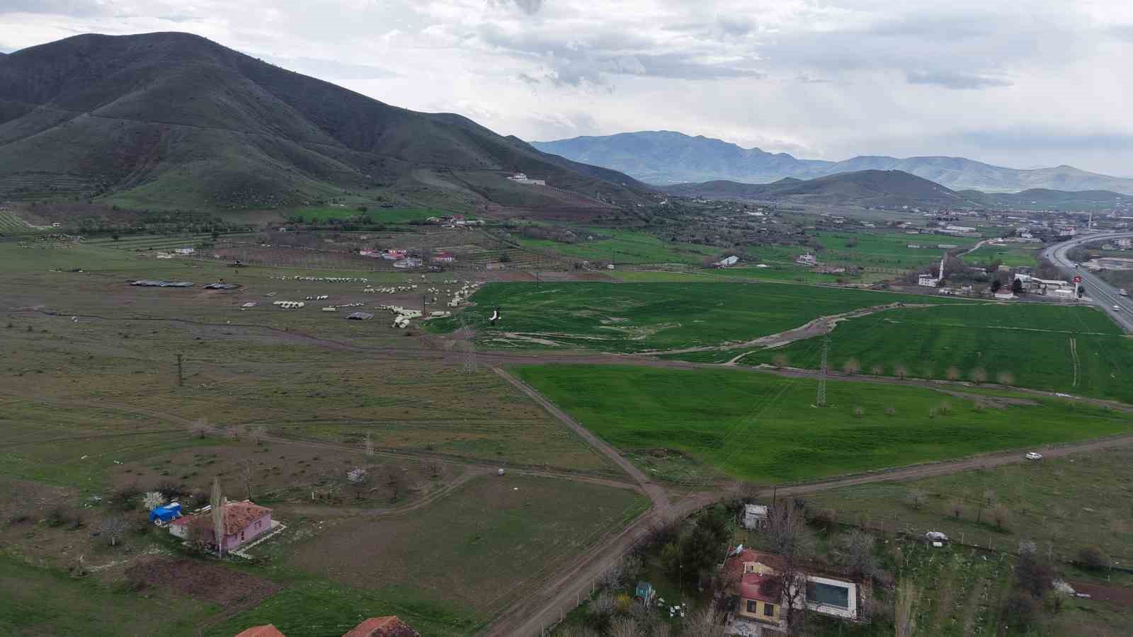 Baharın müjdecisi leylekler Elazığ’ı renklendiriyor
