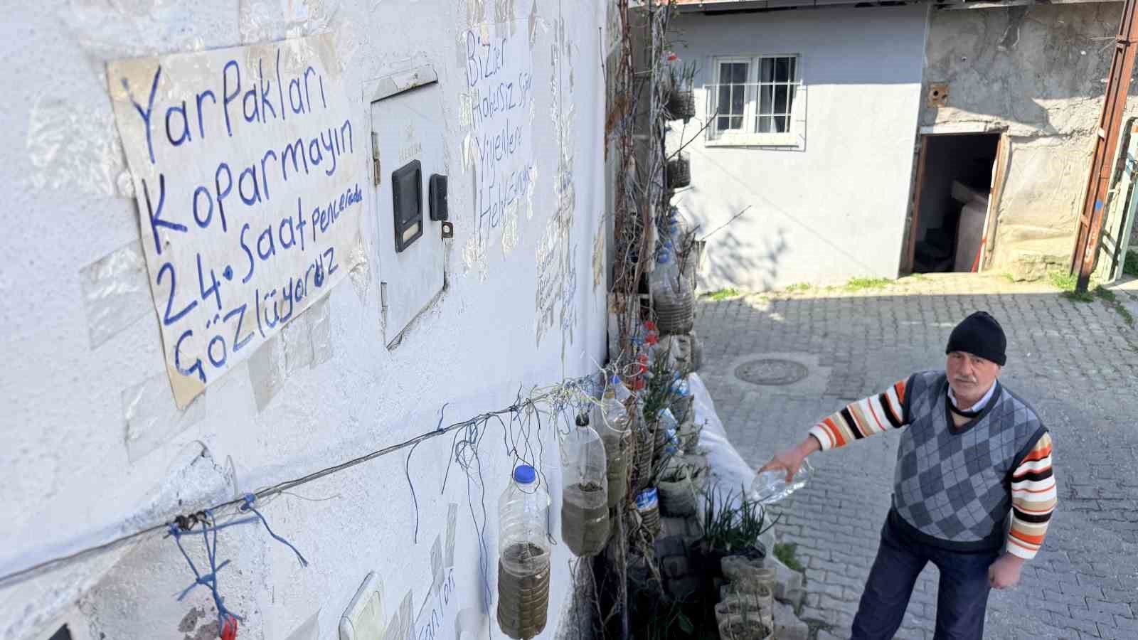 Bahçede yetiştiremeyince çözümü evinin duvarında buldu
