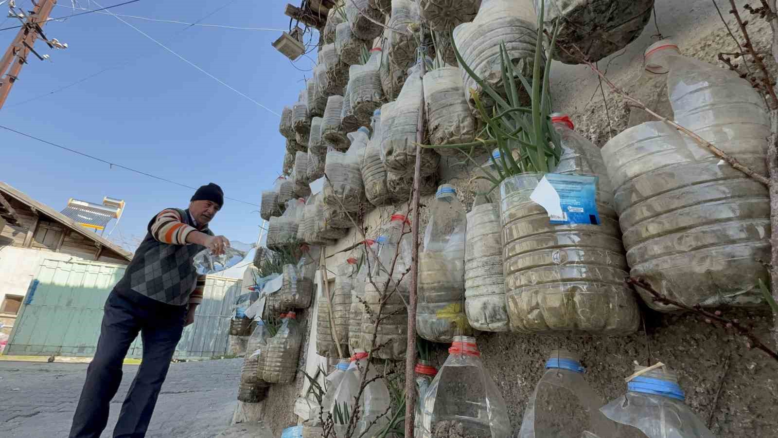 Bahçede yetiştiremeyince çözümü evinin duvarında buldu
