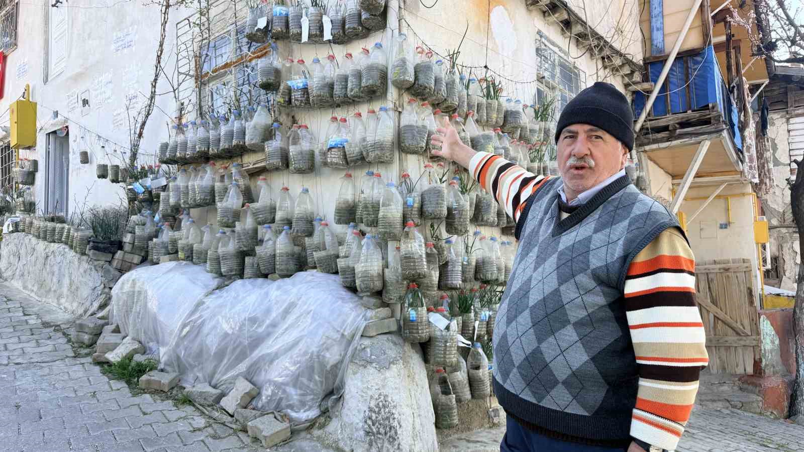 Bahçede yetiştiremeyince çözümü evinin duvarında buldu
