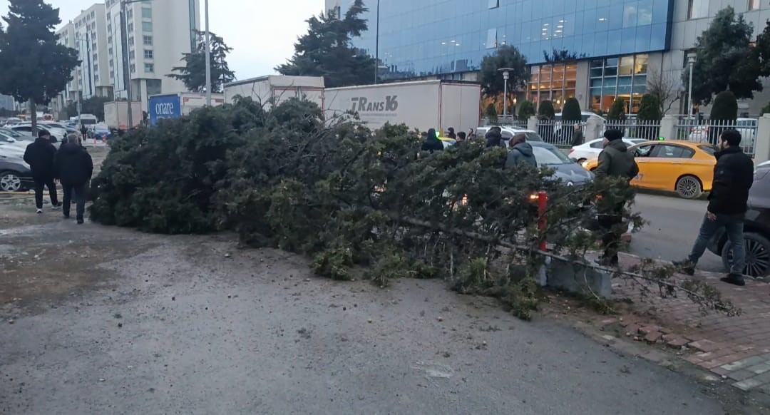 Bahçelievler’de şiddetli rüzgar nedeniyle ağaç devrildi: 1 kişi altında kaldı
