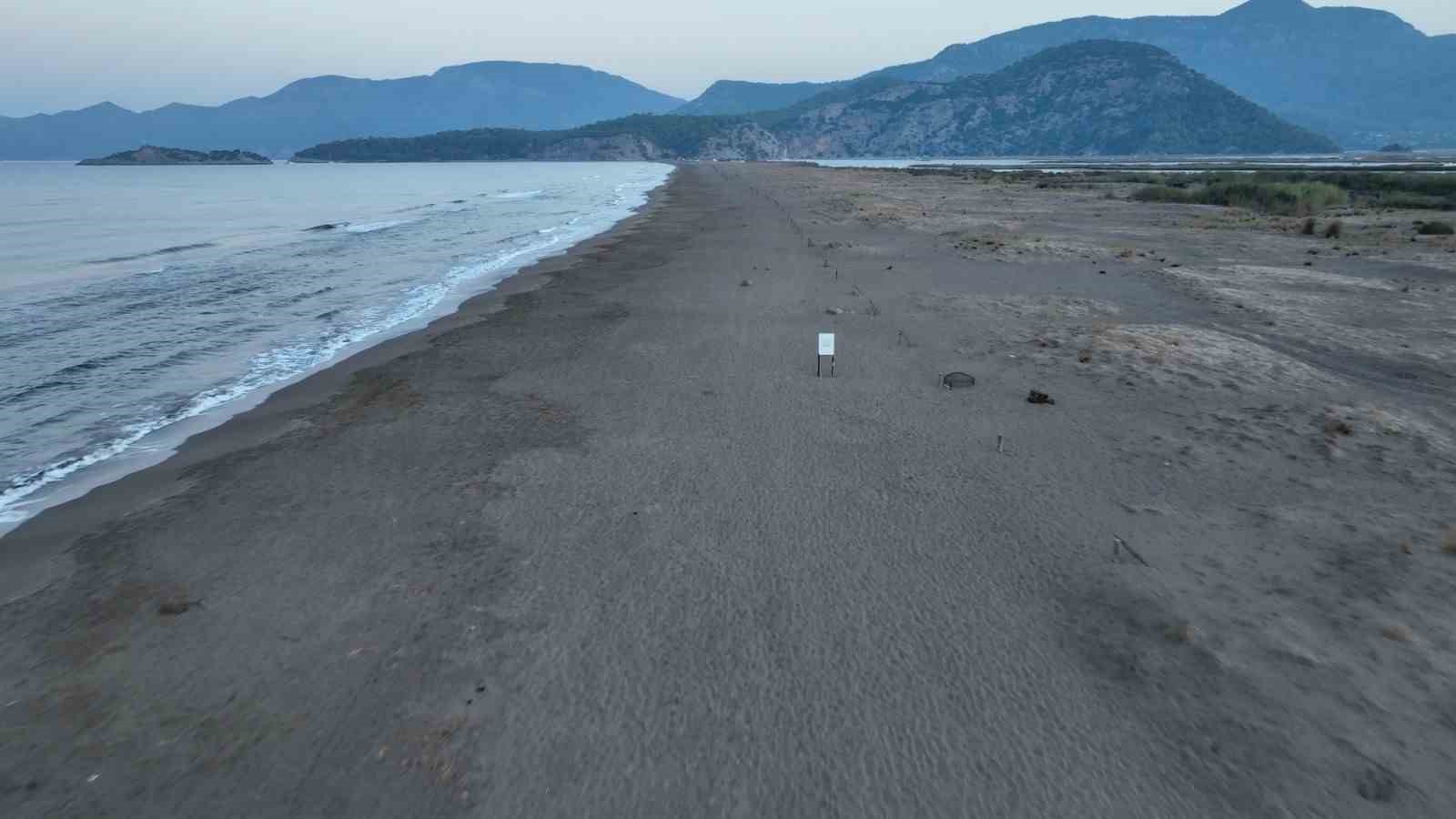Bakan Kurum: "Daha adil bir dünya sıfır atık ile mümkün"
Bakan Kurum: "Daha adil bir dünya sıfır atık ile mümkün"
