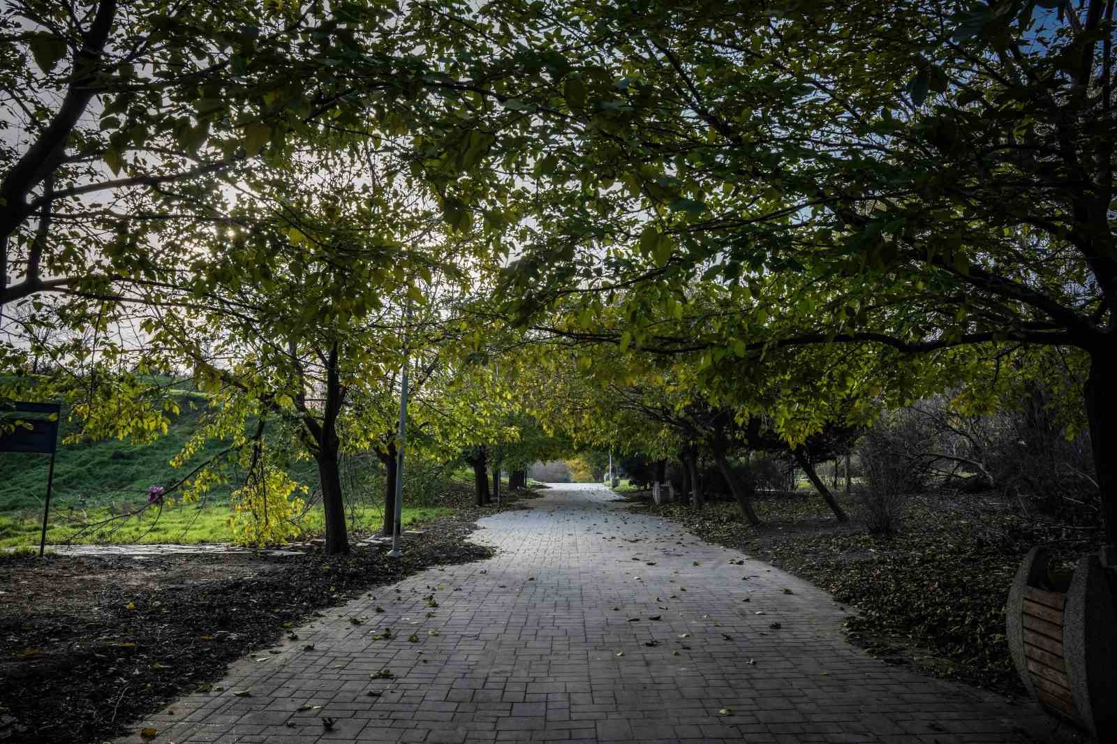 Bakırköy Botanik Park bakımsızlığa mahkum edildi
