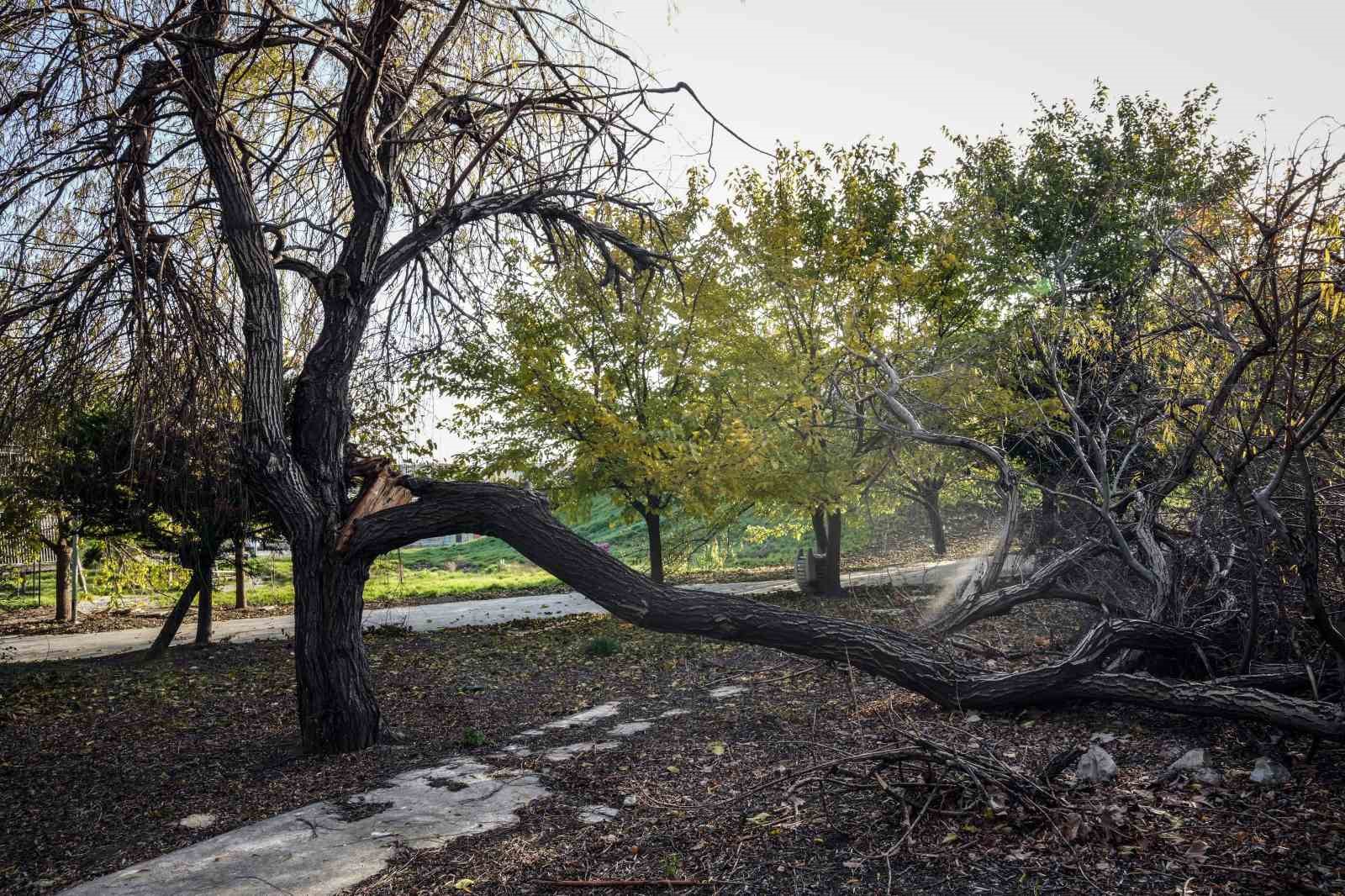 Bakırköy Botanik Park bakımsızlığa mahkum edildi
