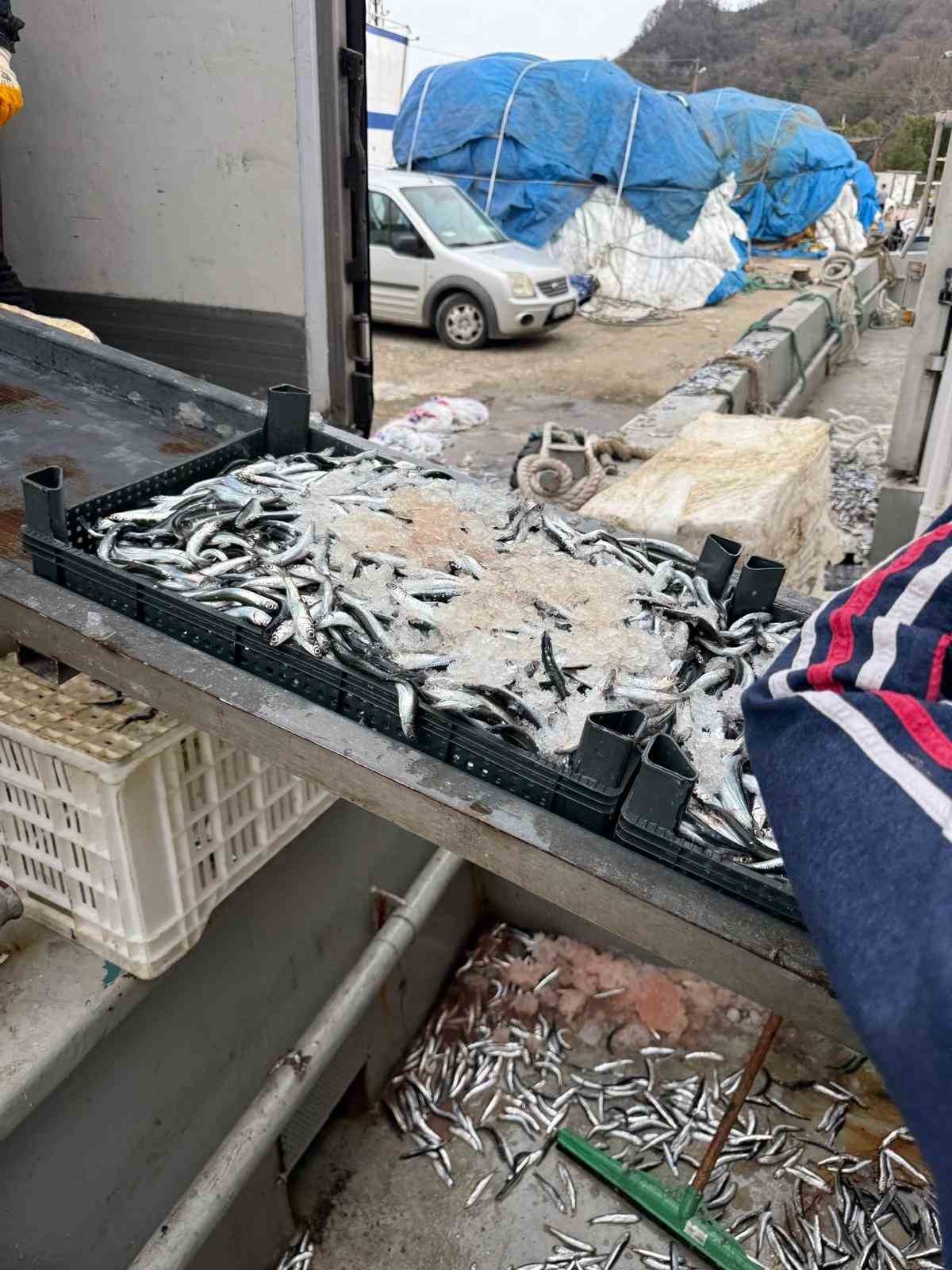 Balıkçı Ramazan’da ücretsiz hamsi dağıttı
