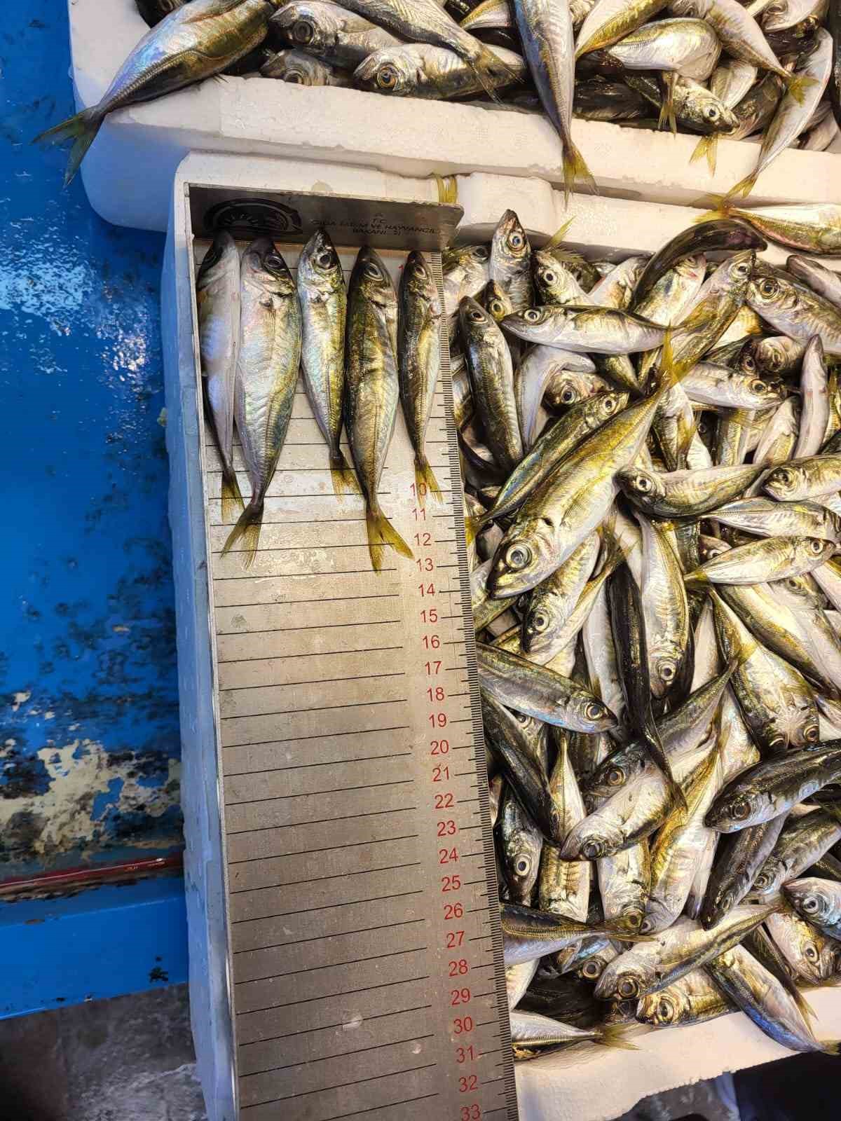 Balıkçılıkta genel av yasağı 15 Nisan’da başladı
