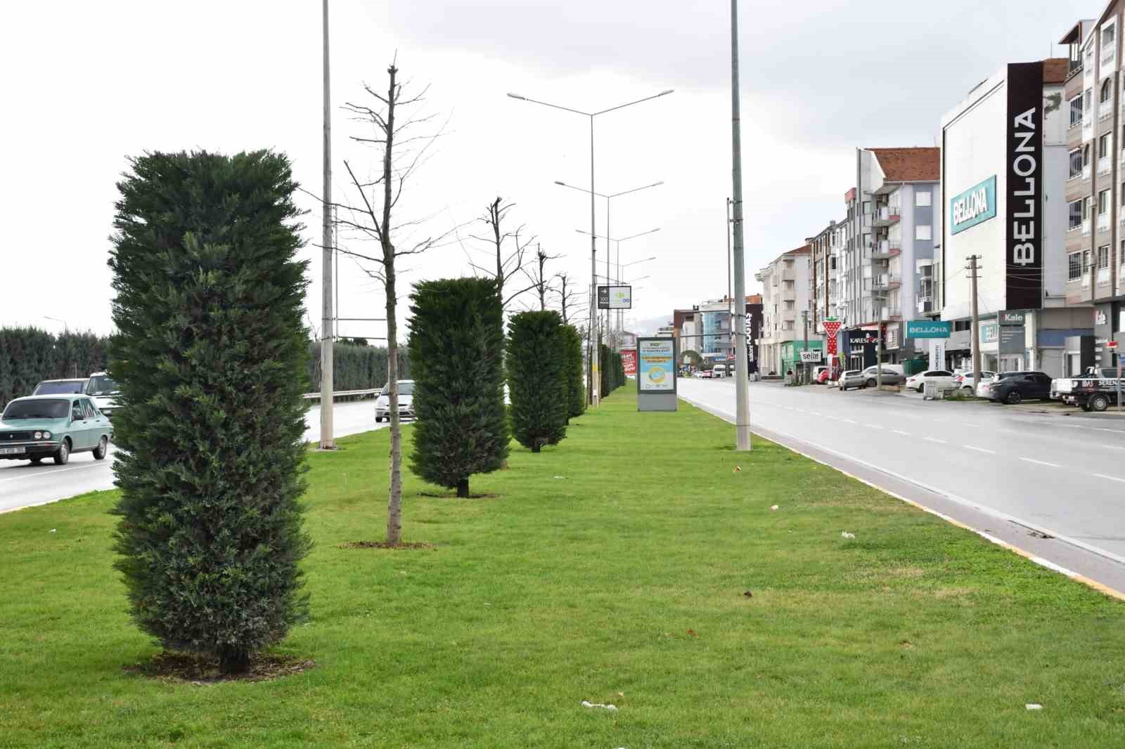 Balıkesir Büyükşehirden 20 ilçeye peyzaj çalışması
