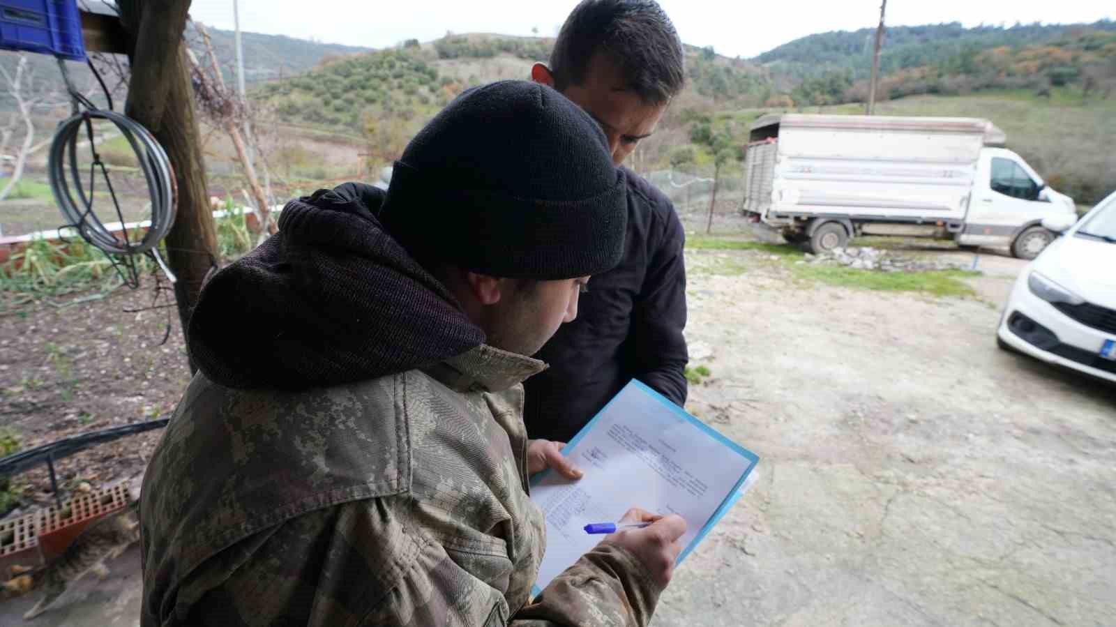 Balıkesir çiftçisine yüzde 100 hibeli damızlık desteği
