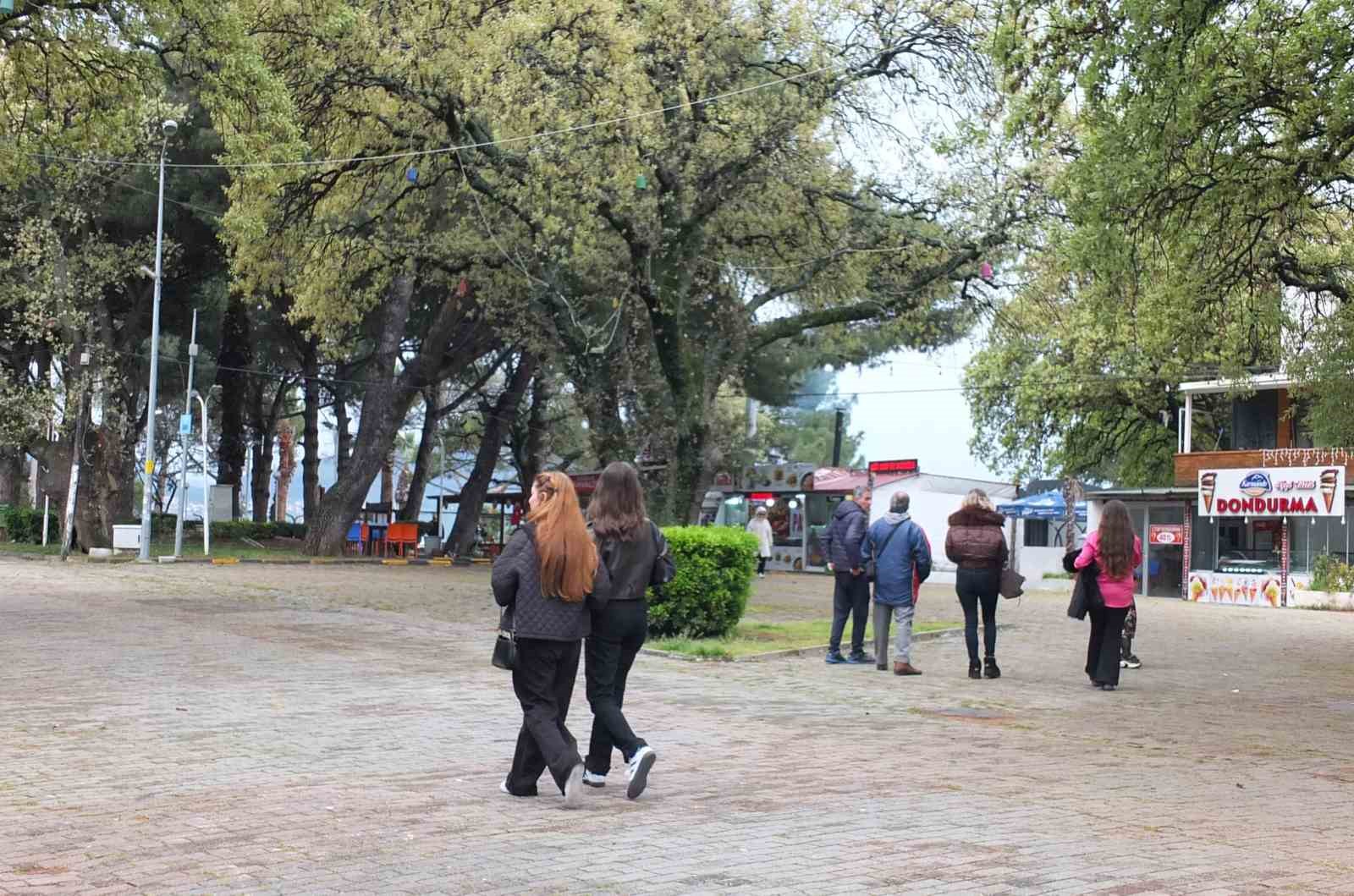 Balıkesir’de 1620 tarihi meşeye özel koruma
