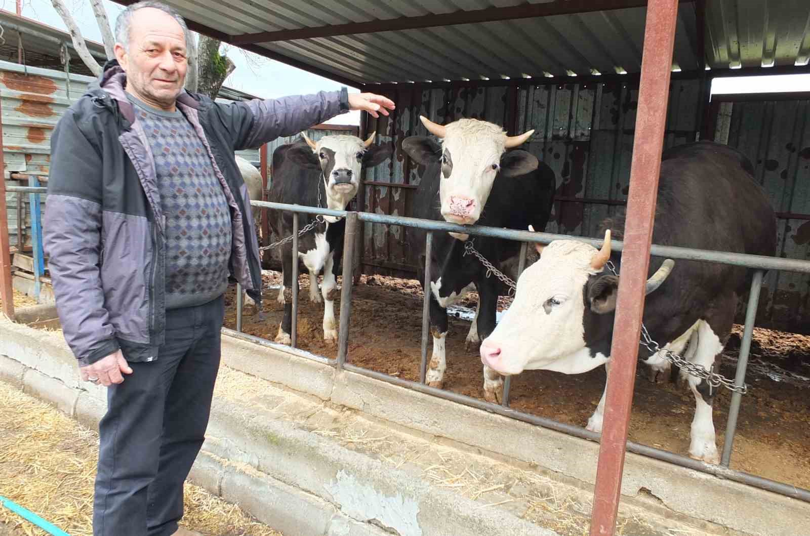 Balıkesir’de kurbanlık satışları başladı
Balıkesir’de kurbanlık satışları başladı