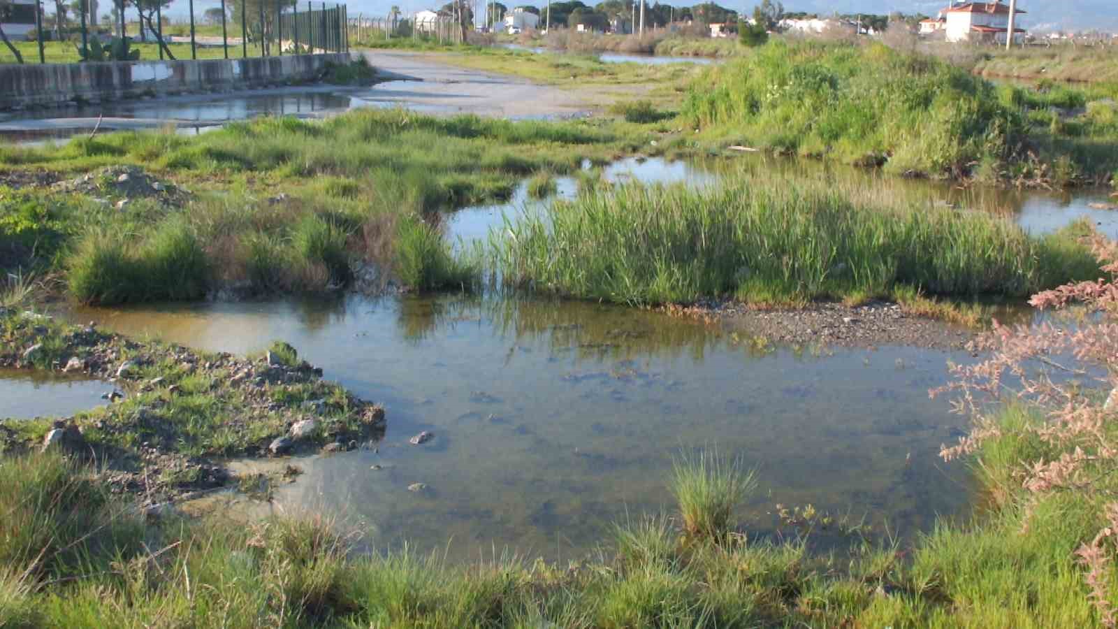 Balıkesir’de sağanak nedeniyle arazileri sular bastı, rögarlar taştı
