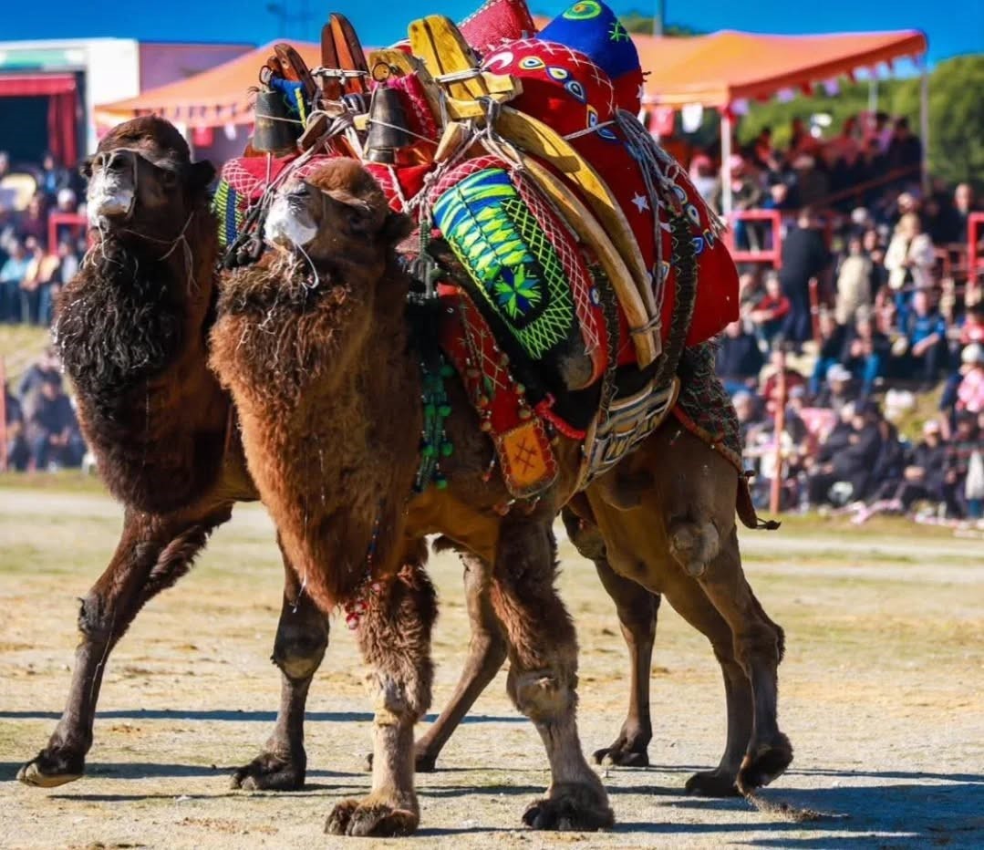 Balıkesir’de Vali Ustaoğlu devecileri kabul etti
