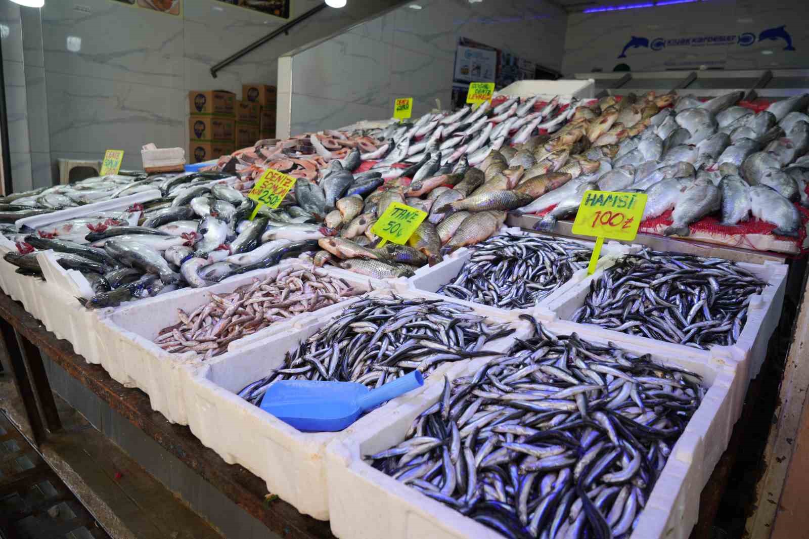 Balıkta bereketli sezon: "Halk bu yıl balığa doydu"
