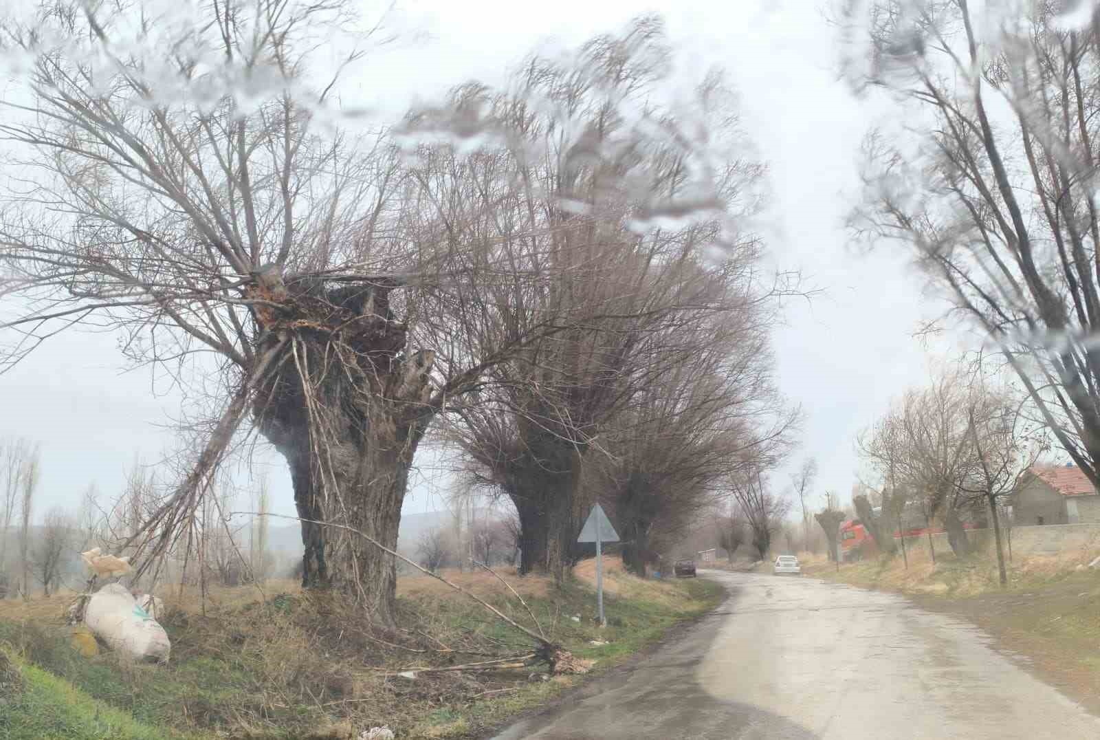 Balkondan düşen saksı az kalsın faciaya neden olacaktı
