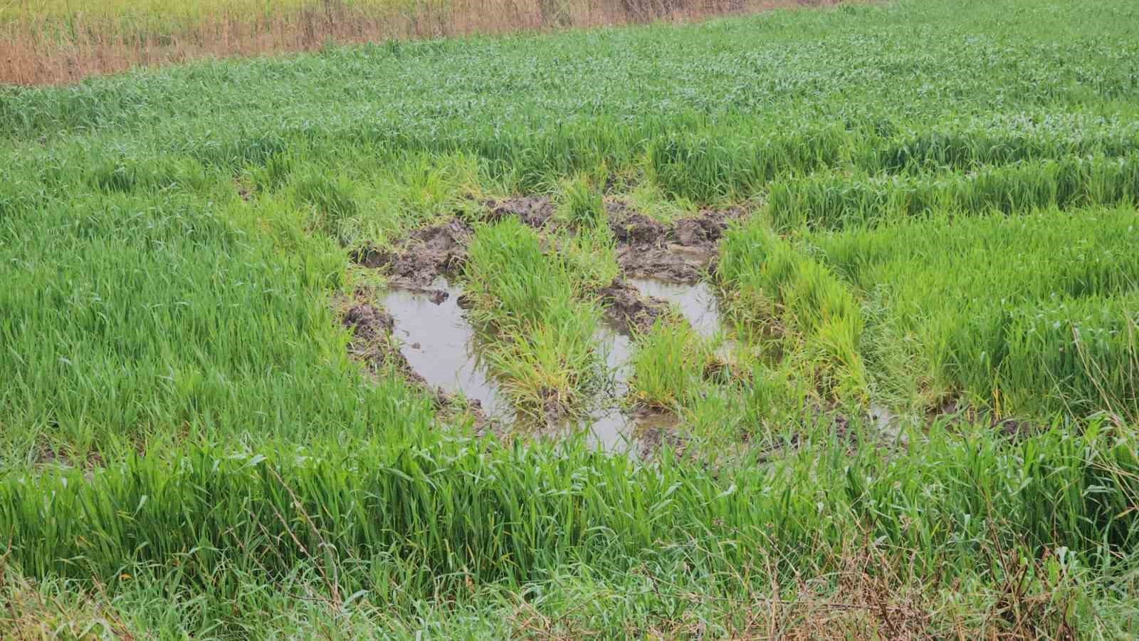 Bandırma kırsalında kuvvetli yağış hayatı olumsuz etkiledi
