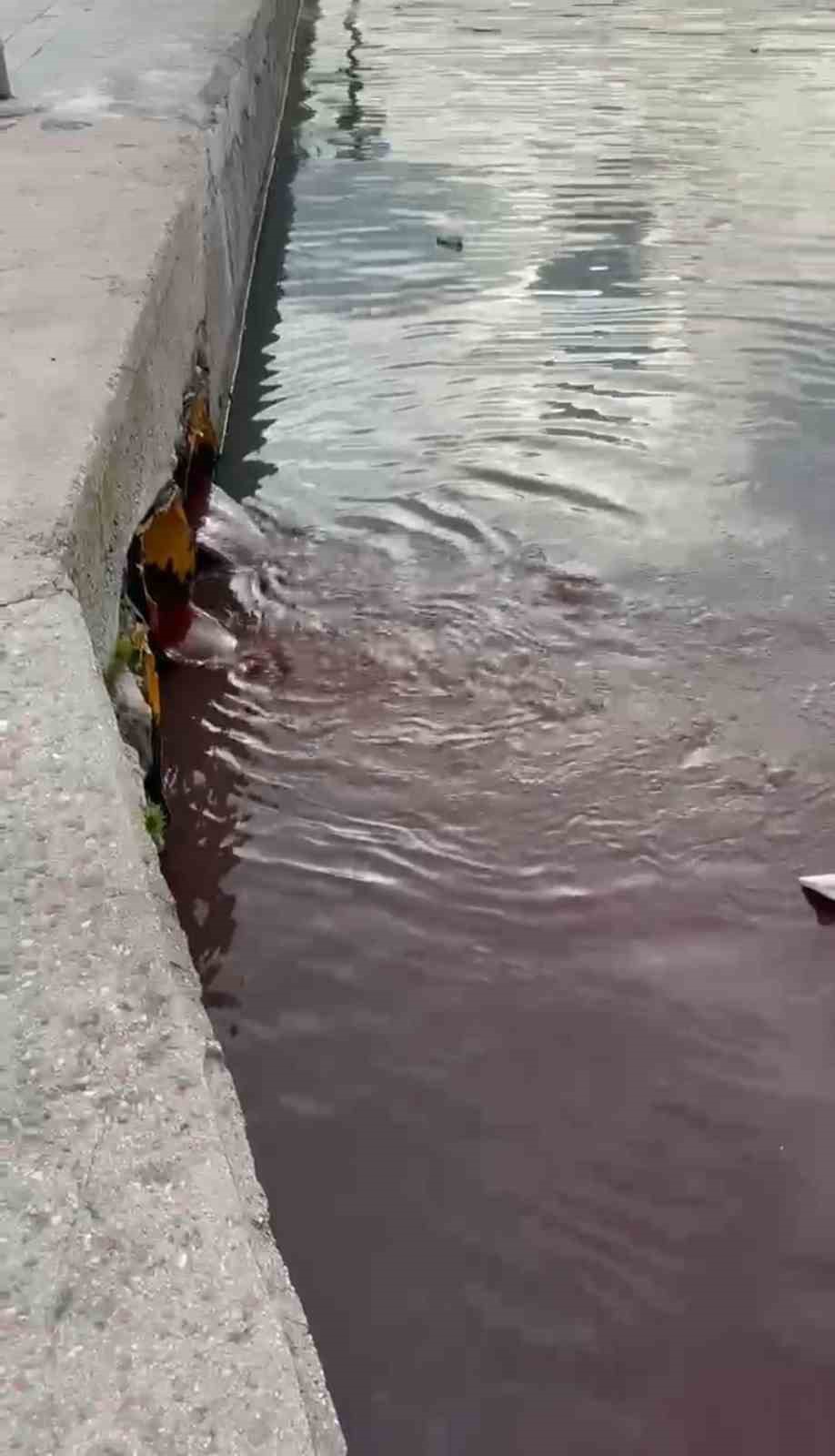 Bandırma’da deniz yüzeyi kırmızıya döndü
