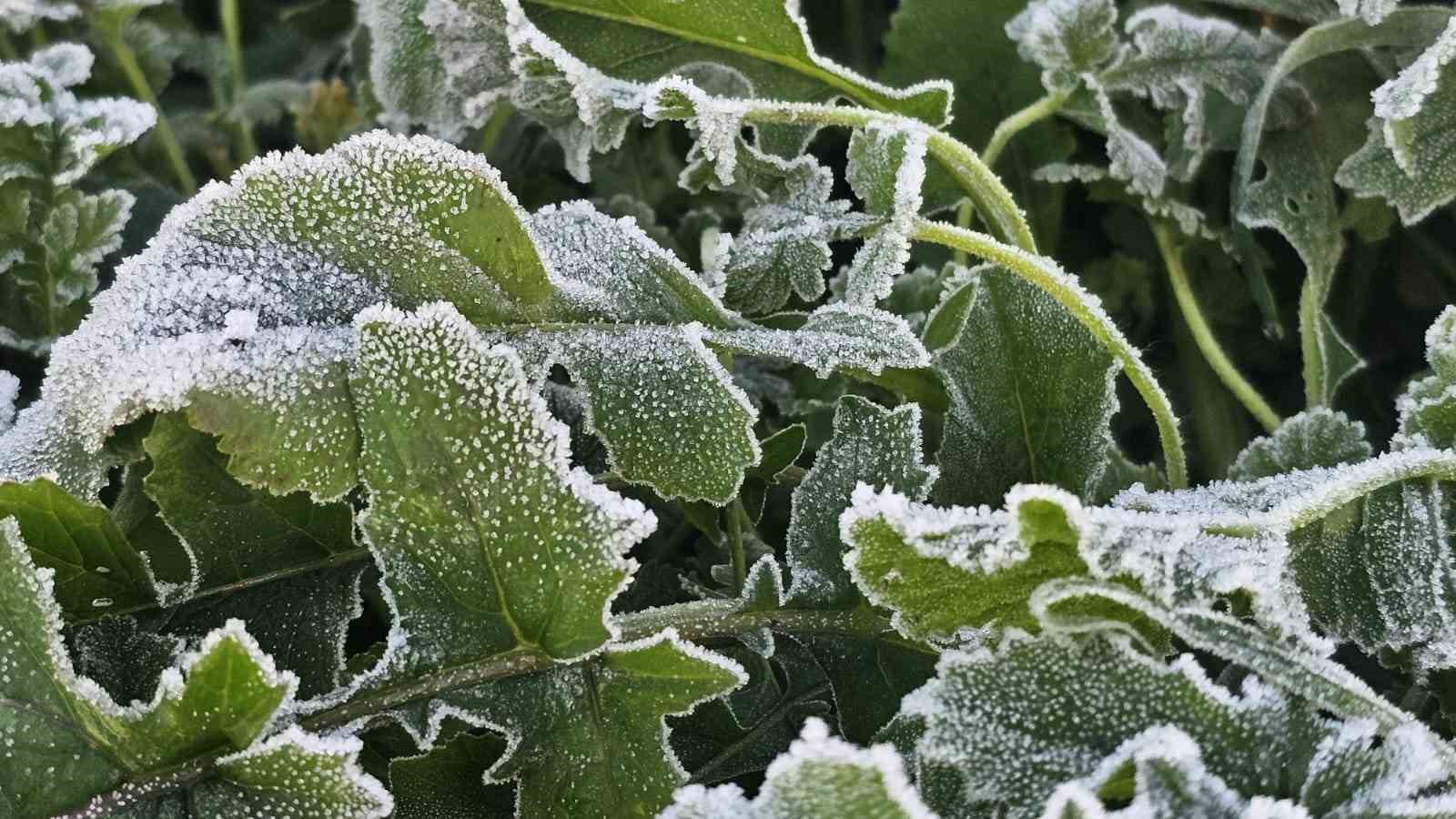 Bandırma’da dondurucu soğuk etkisini artırdı, sıcaklık -7 dereceye kadar düştü
