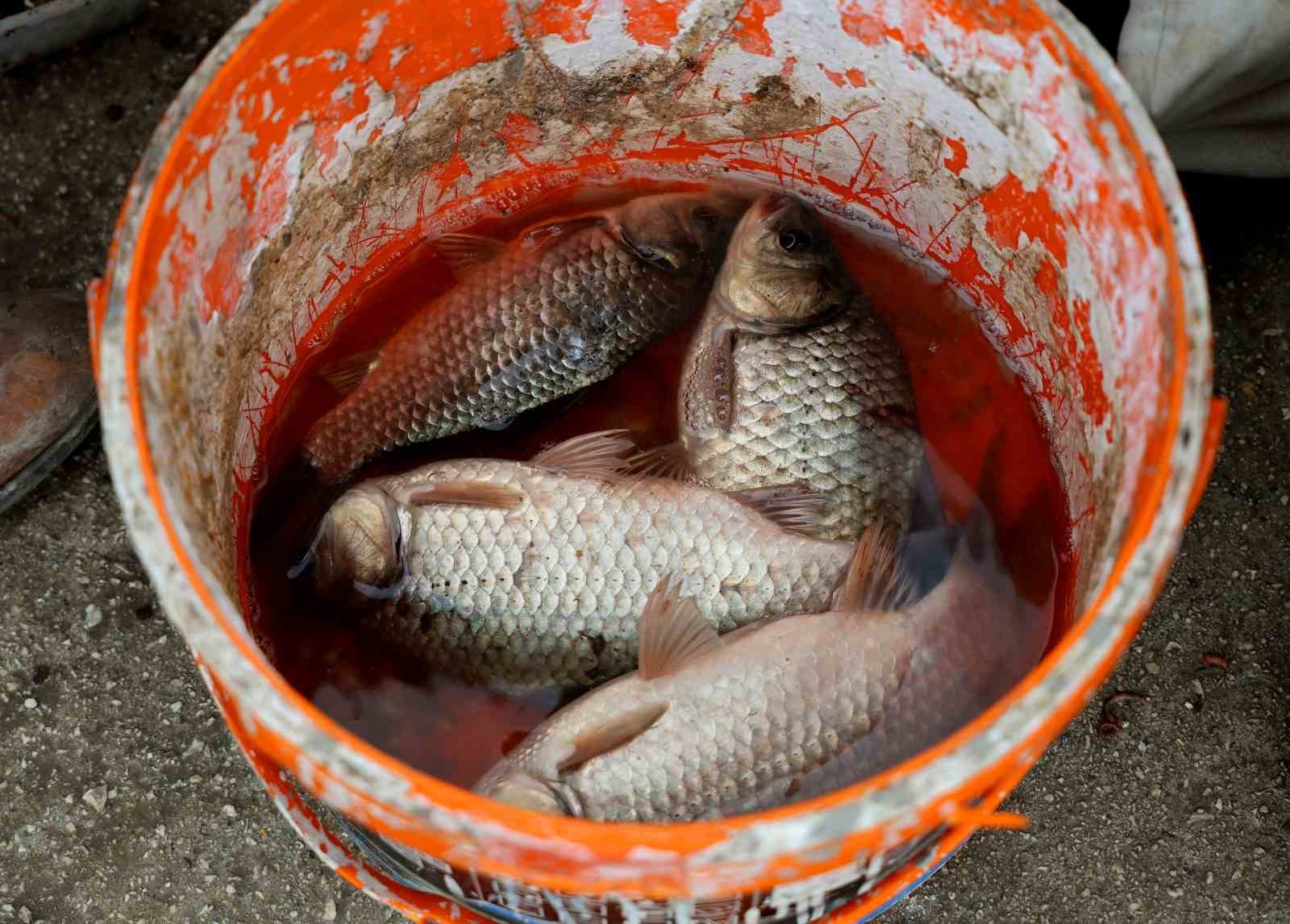 Baraj kapakları açıldı, onlarca balıkçı nehre akın etti
