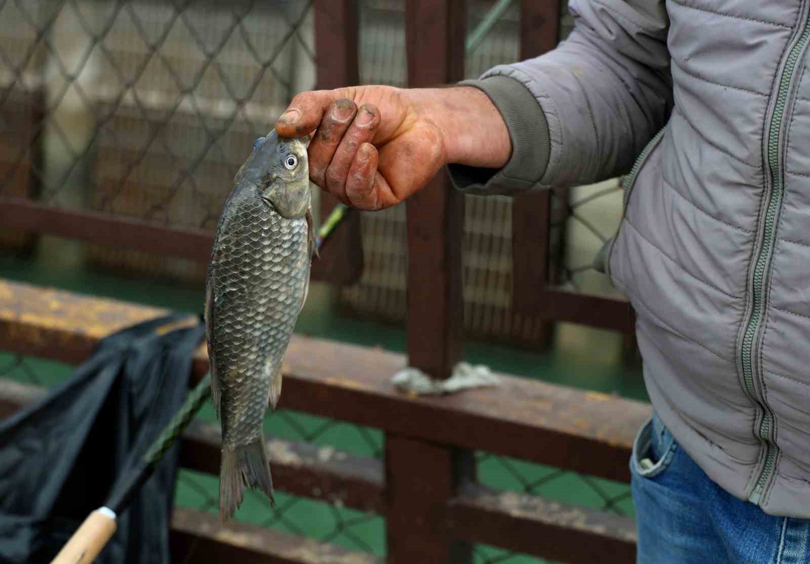 Baraj kapakları açıldı, onlarca balıkçı nehre akın etti
