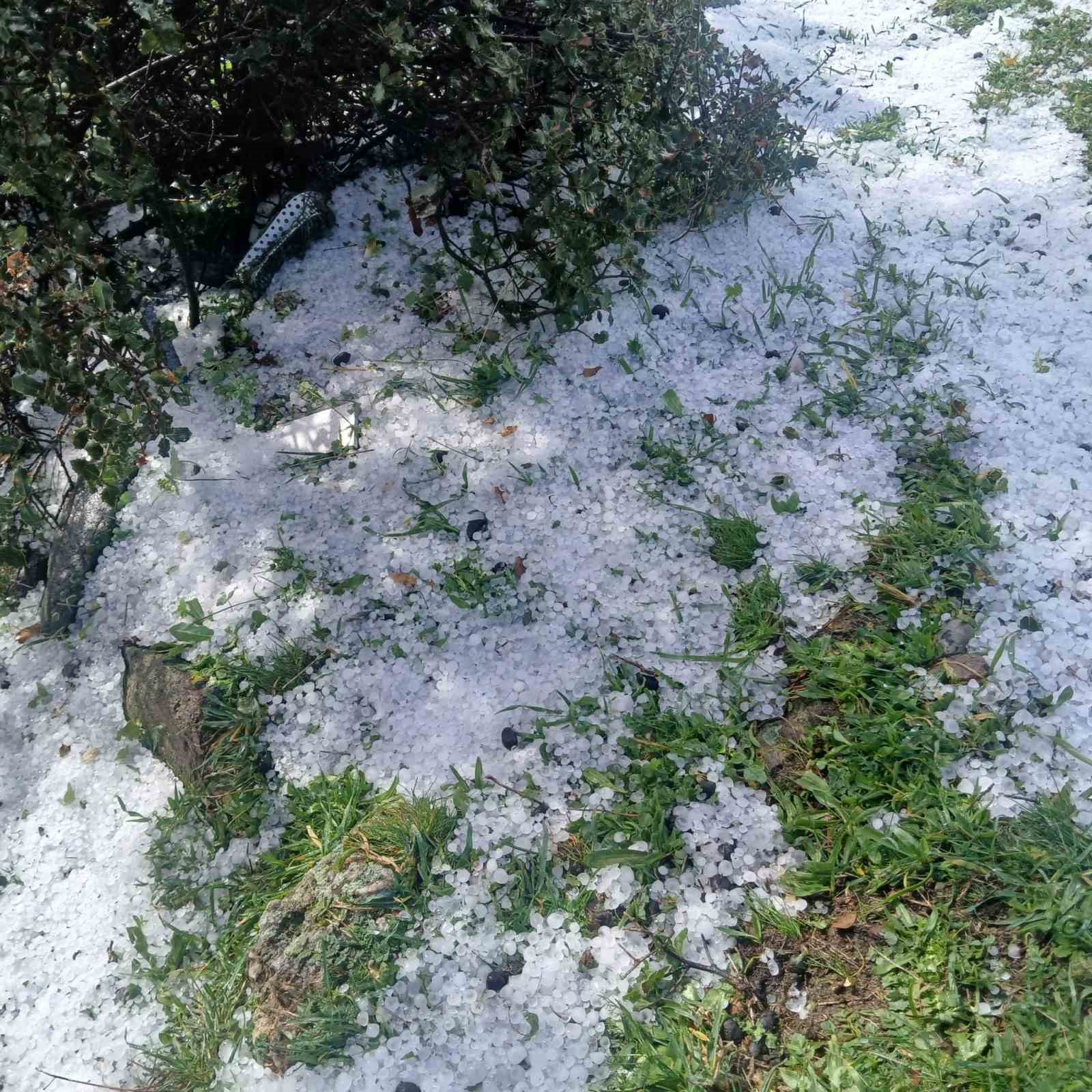 Barajlarda su seviyesinin yükselmeye başlaması çiftçileri sevindirdi
