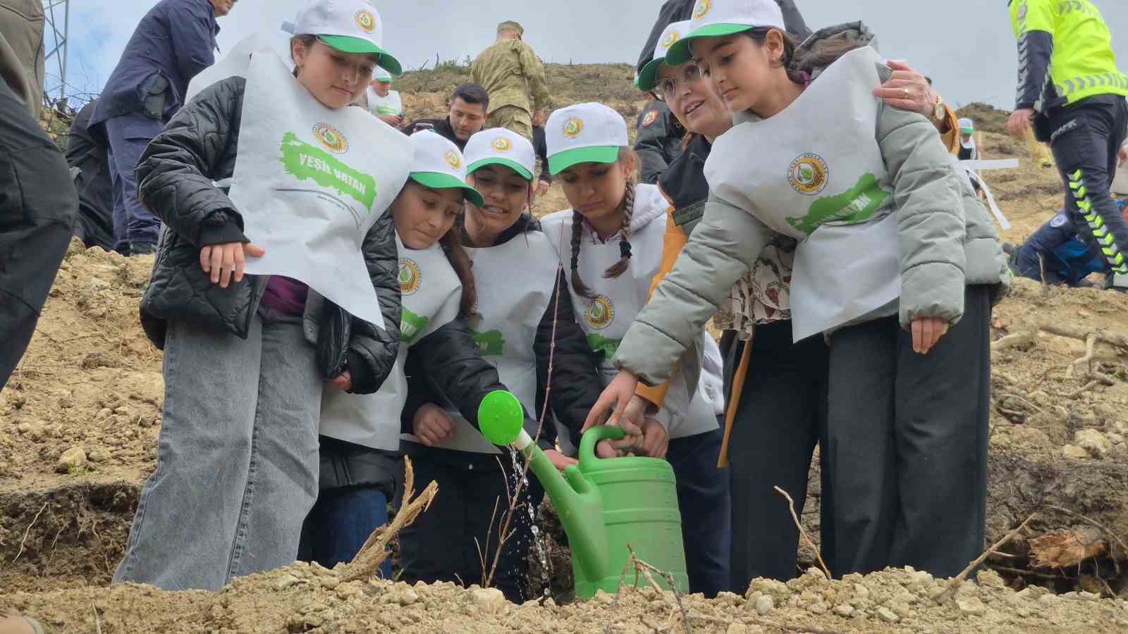 Bartın’da geçen yıl yanan ormana 400 fidan dikildi
