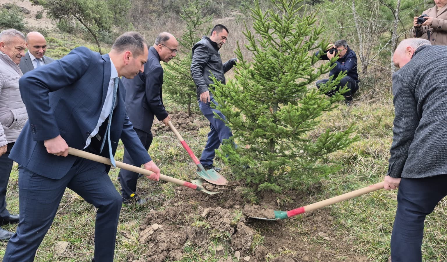 Bartın’da hükümlüler fidan dikti
