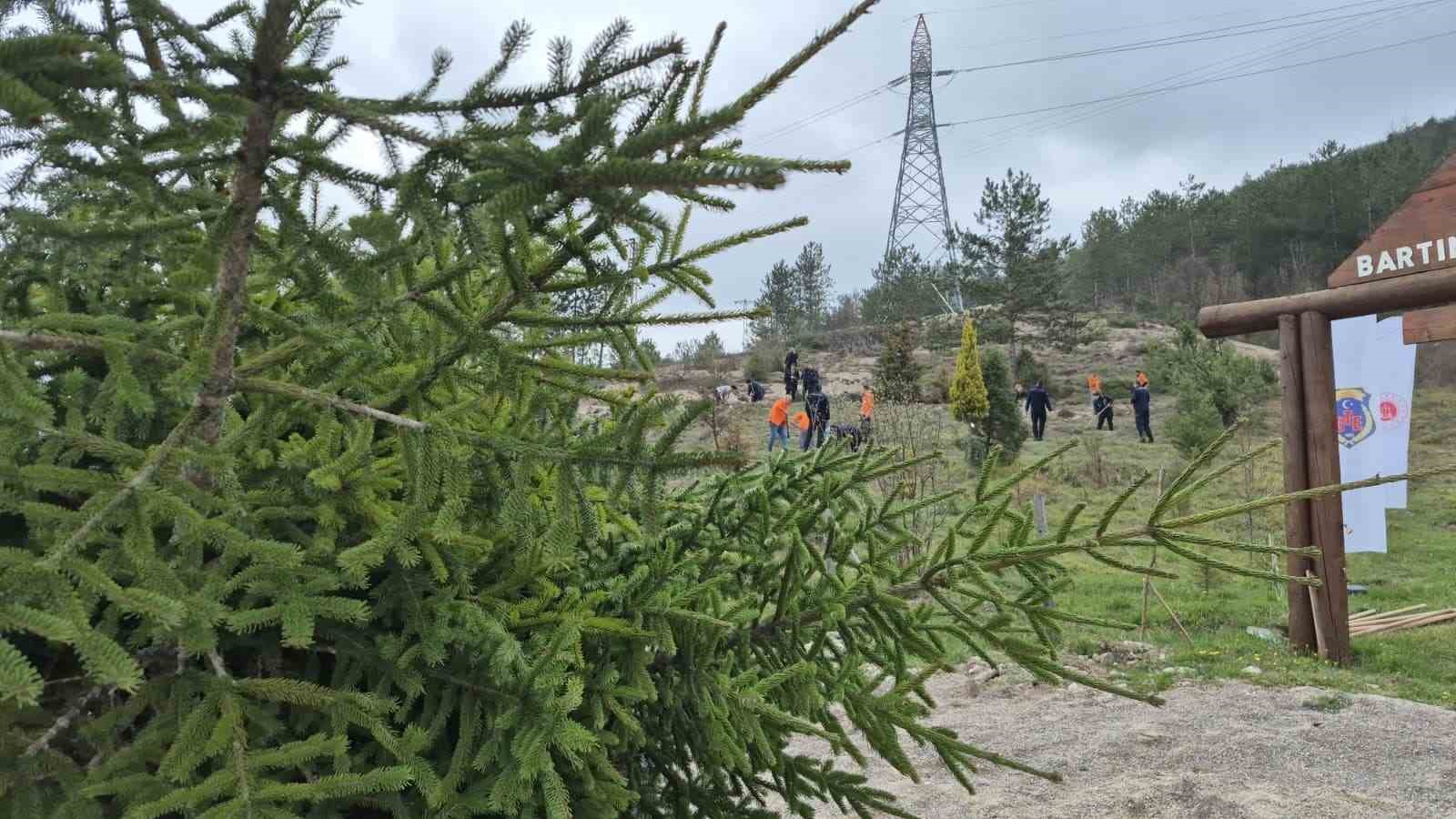 Bartın’da hükümlüler fidan dikti
