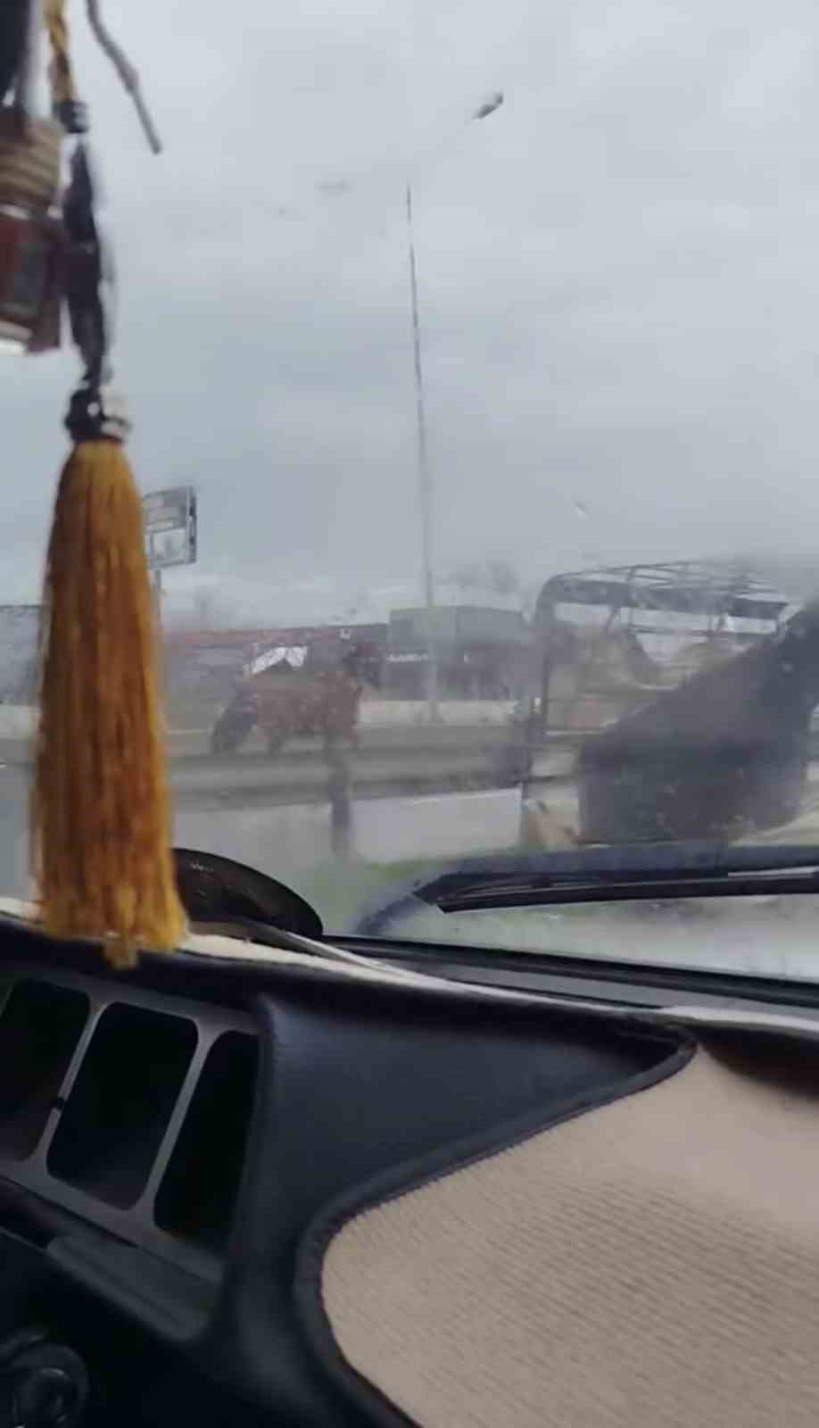 Başıboş at trafikte tehlike saçtı
